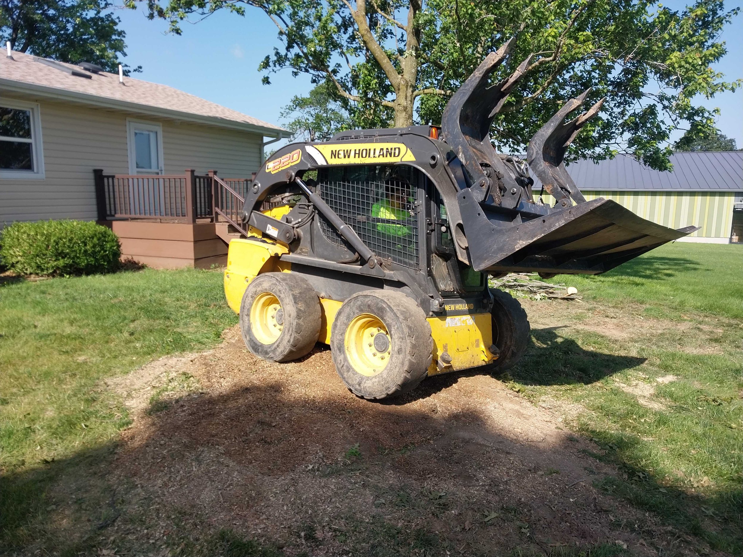 Benefits Of Pre-Winter Professional Tree Services