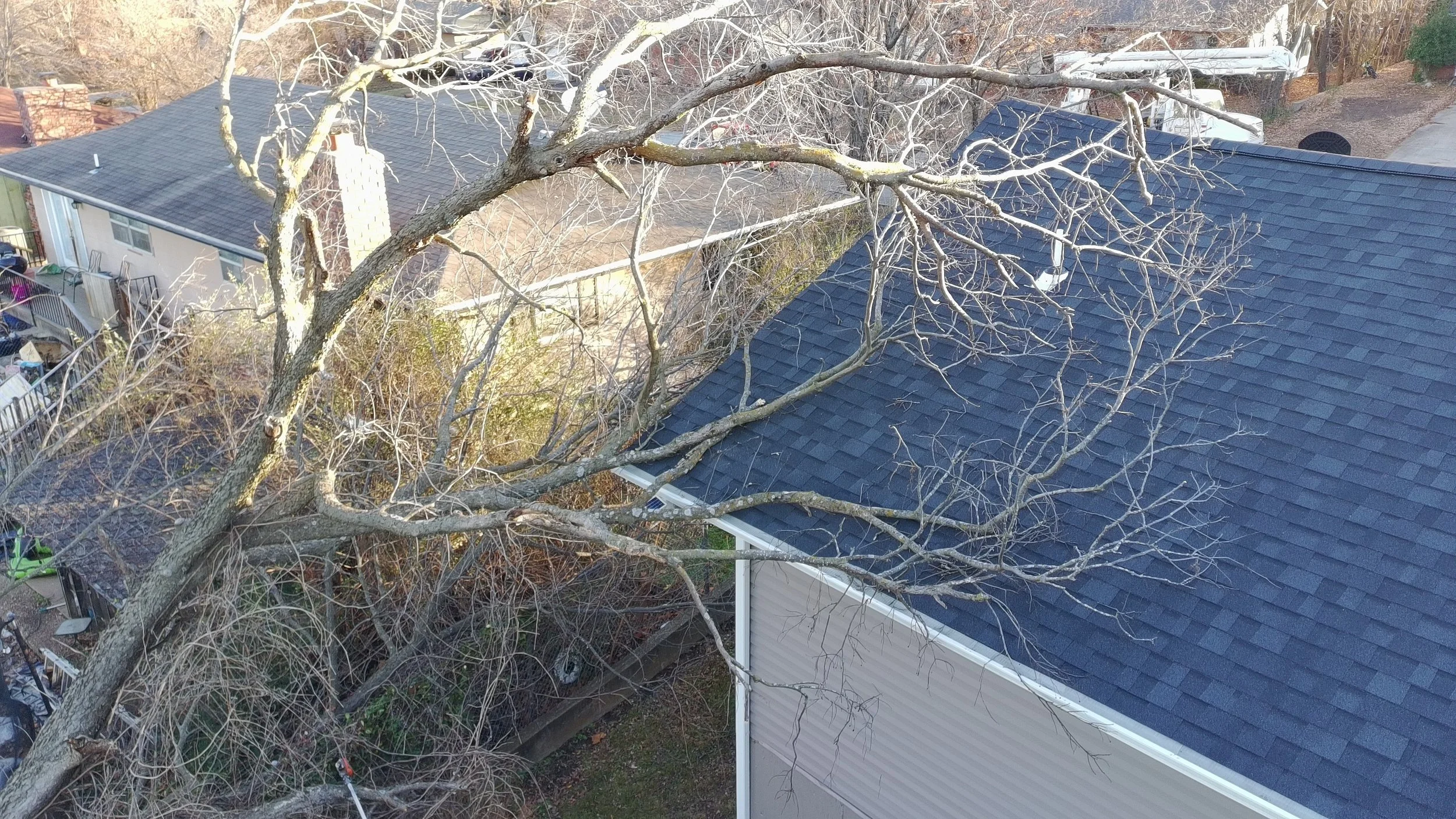 Fallen Trees After Snow Melt What Property Owners Should Know
