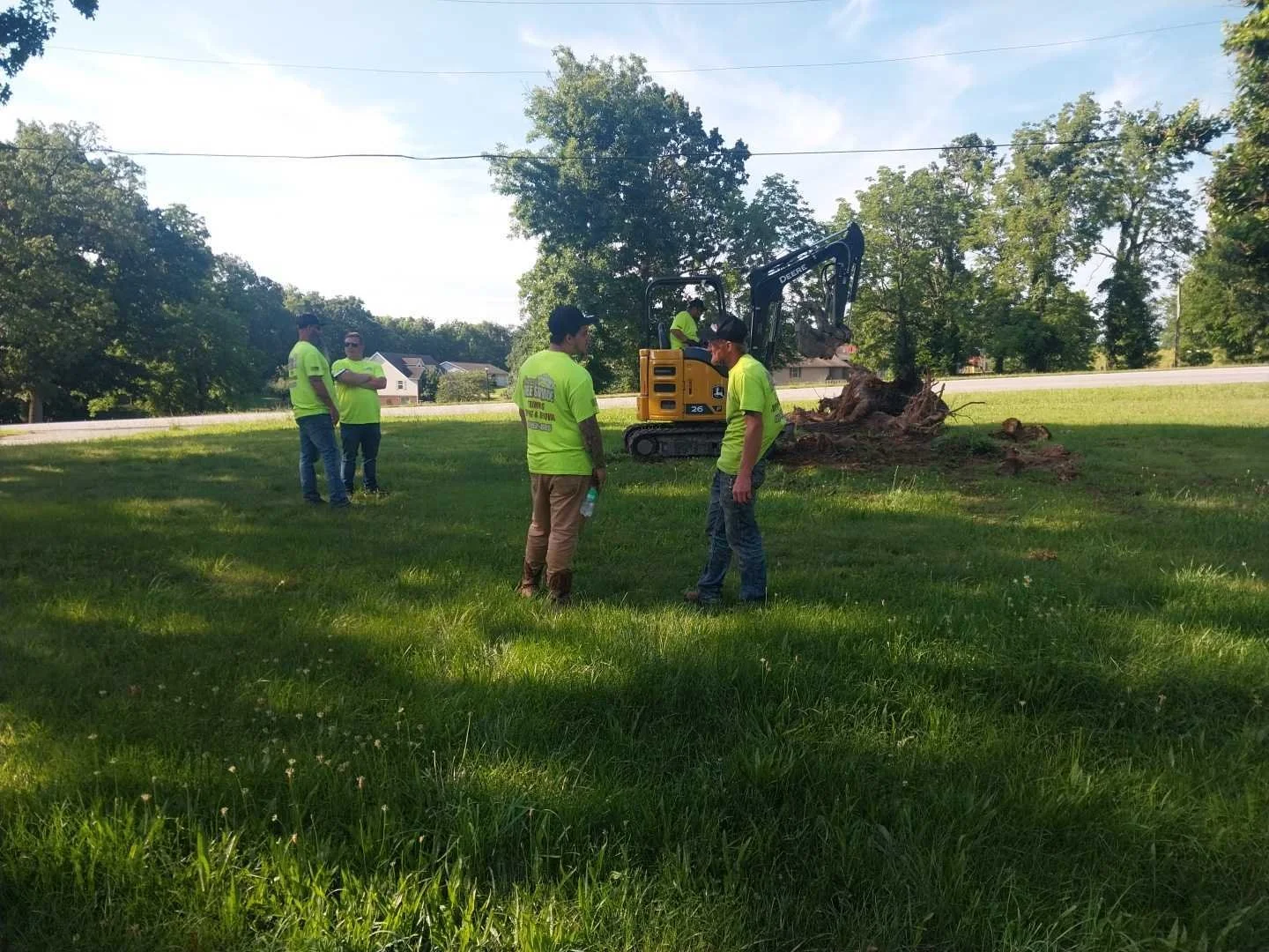 What Makes Professional Tree Removal Safer Than DIY Work