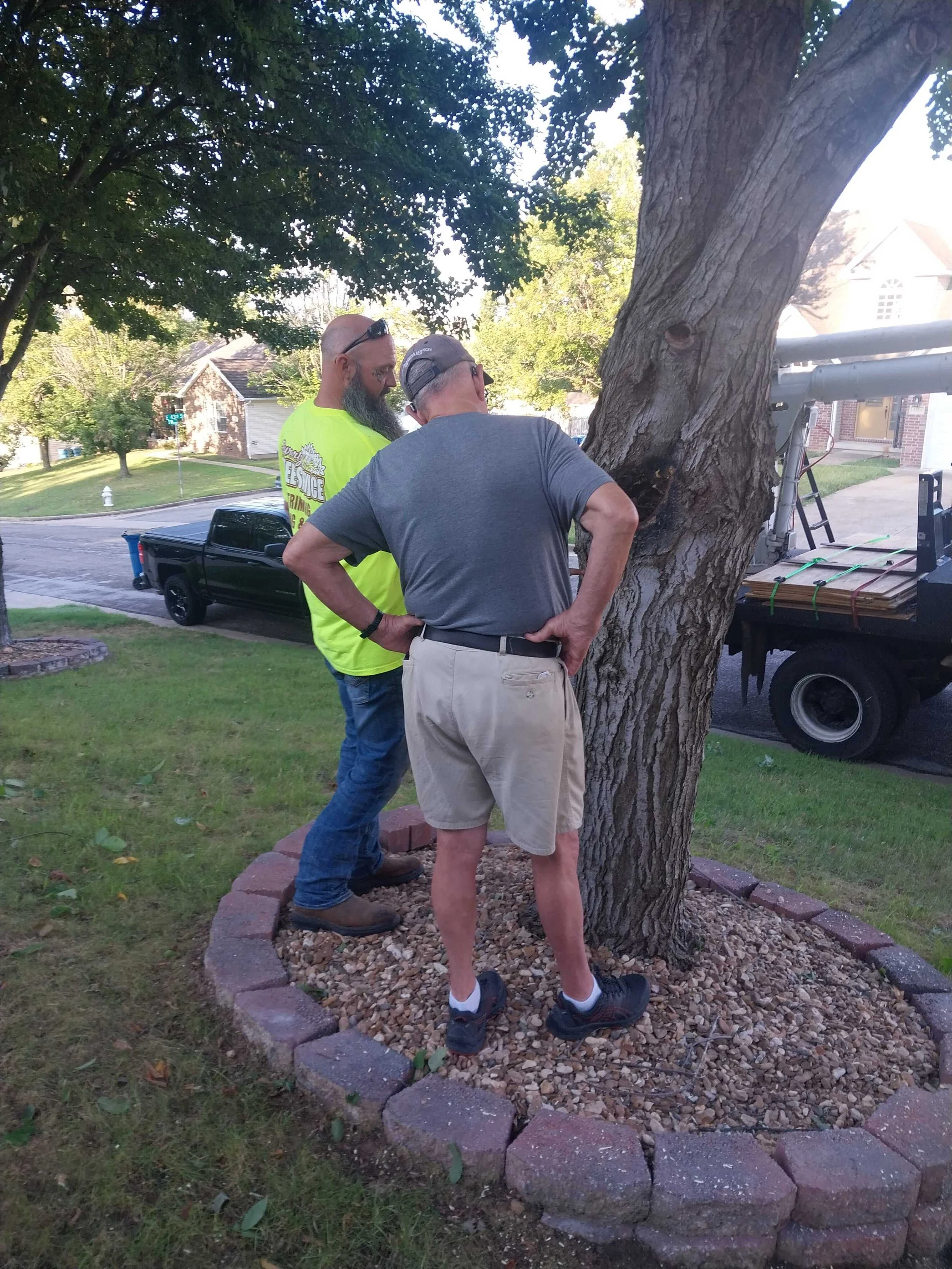 When Tree Care Services Help Prevent Spring Pest Problems