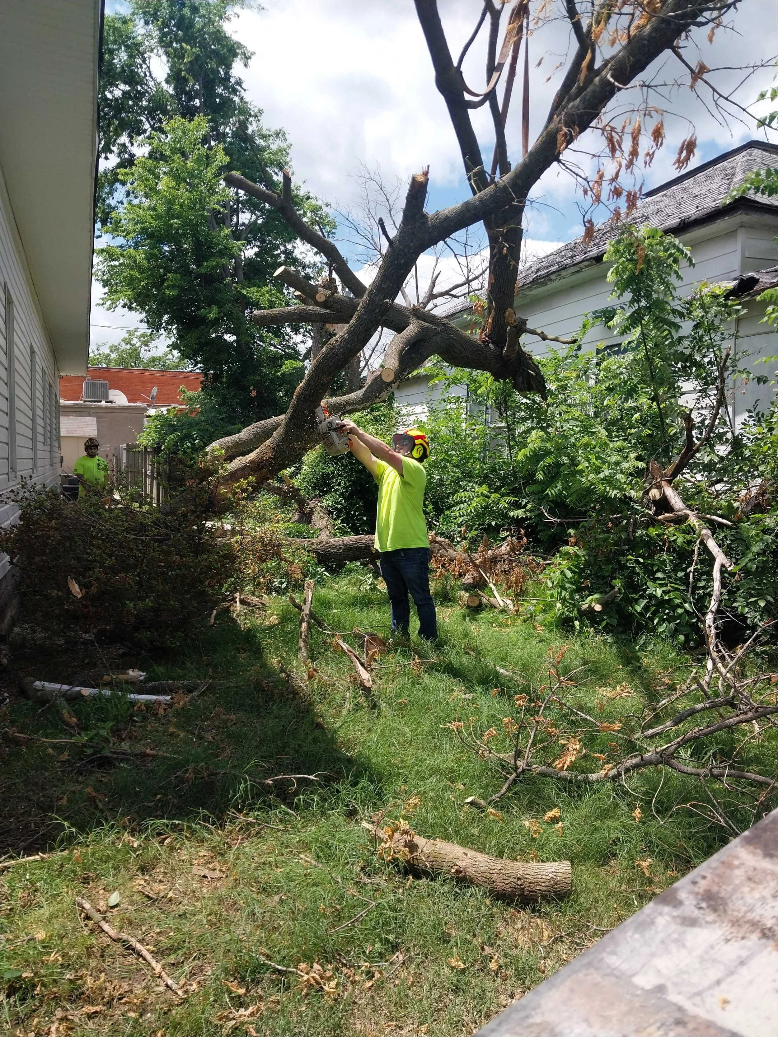 Spring Storm Damage Cleanup Tips Homeowners Should Follow