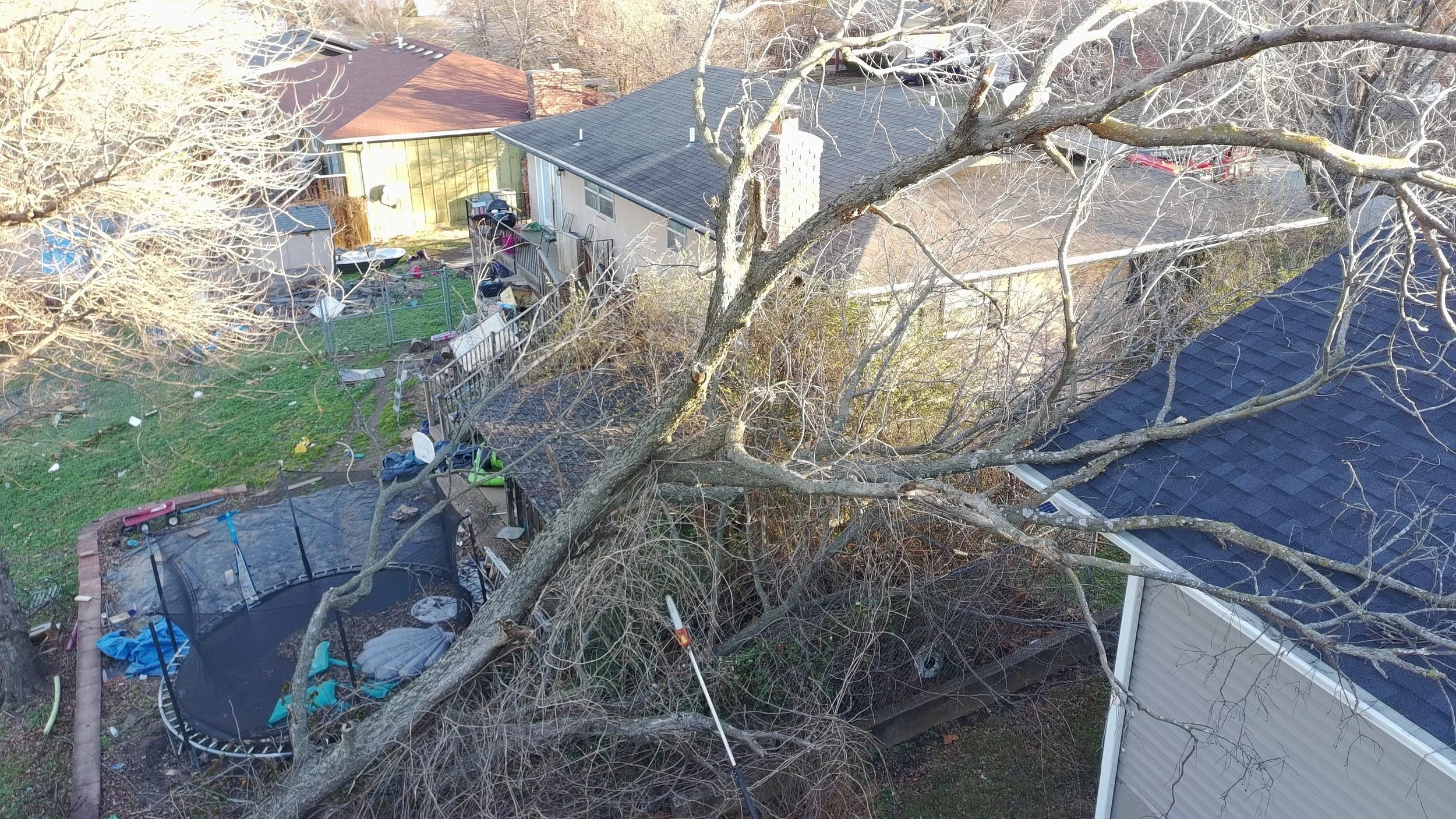 What Tree Pruning Service in Joplin Prevents Before Summer
