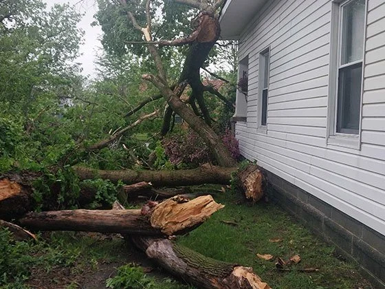 Emergency storm cleanup in Joplin, MO with fallen branches and debris cleared by Swartz Tree Service