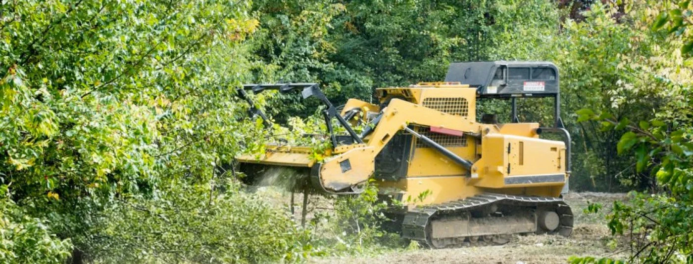 land clearing