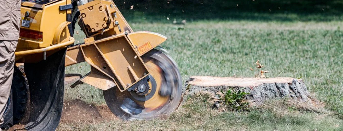 a person using an equipment to grind a stump
