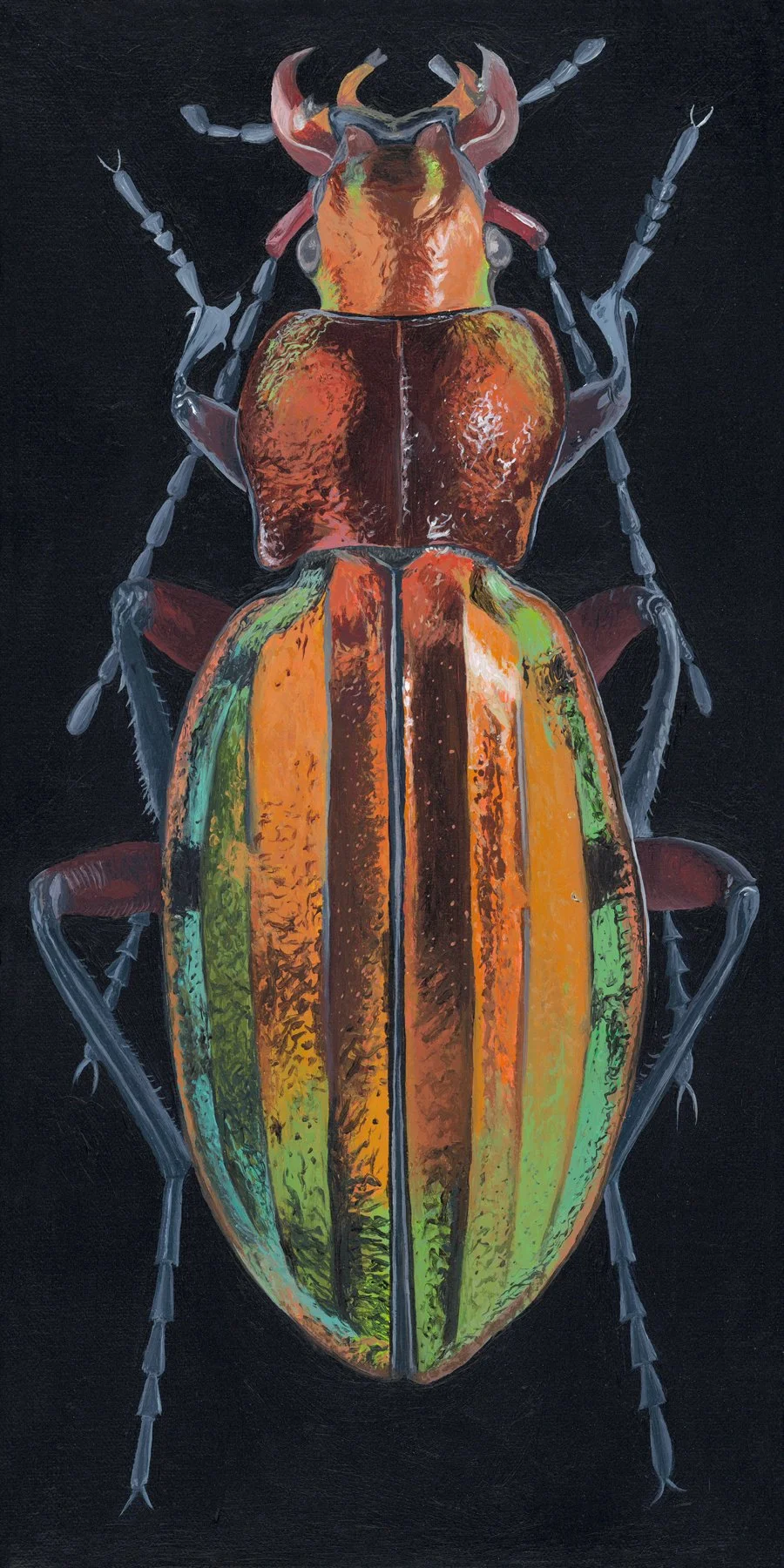 Acrylic, 8" x 16"