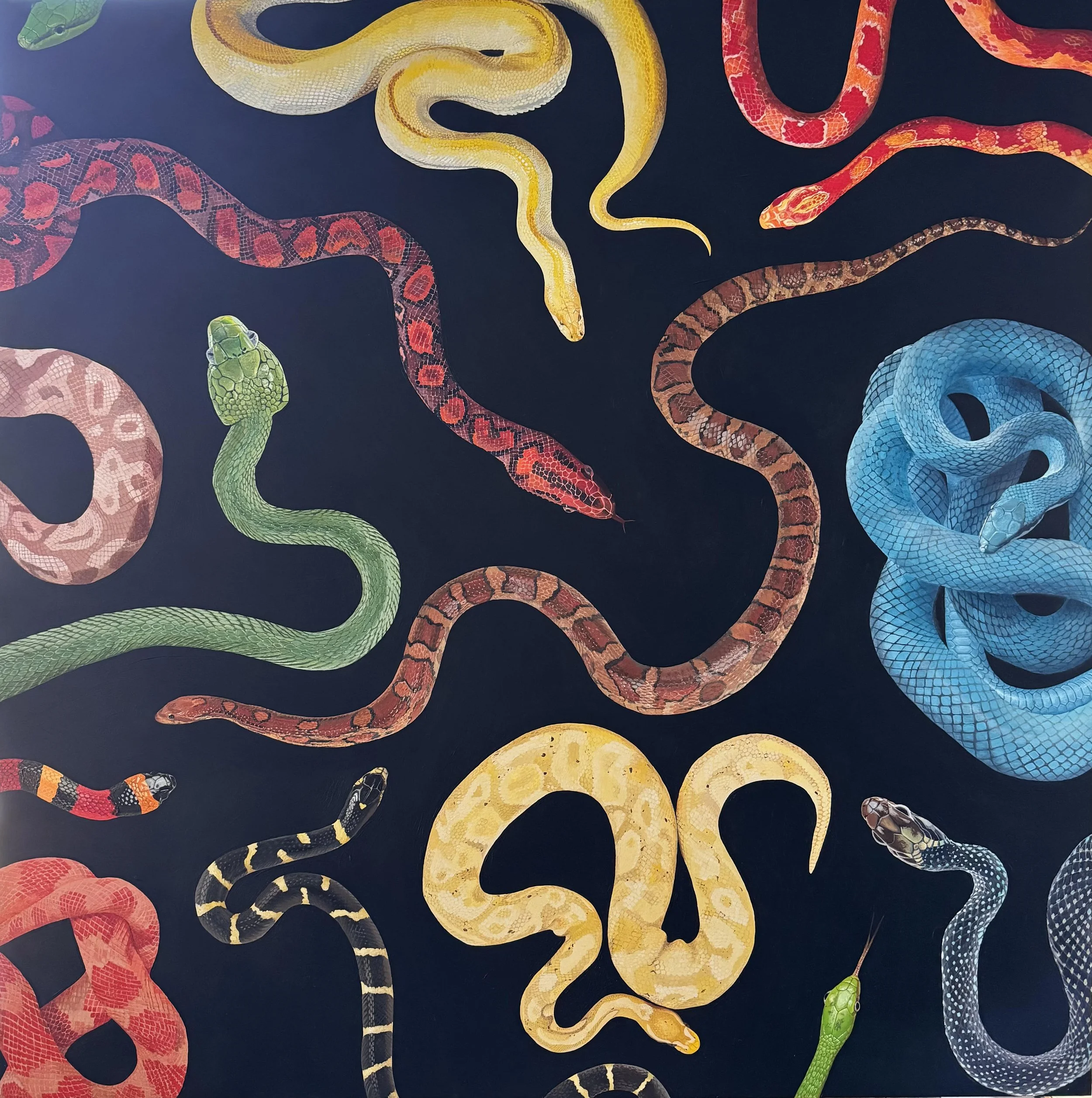 "Uncoiled" - 30x30 inches