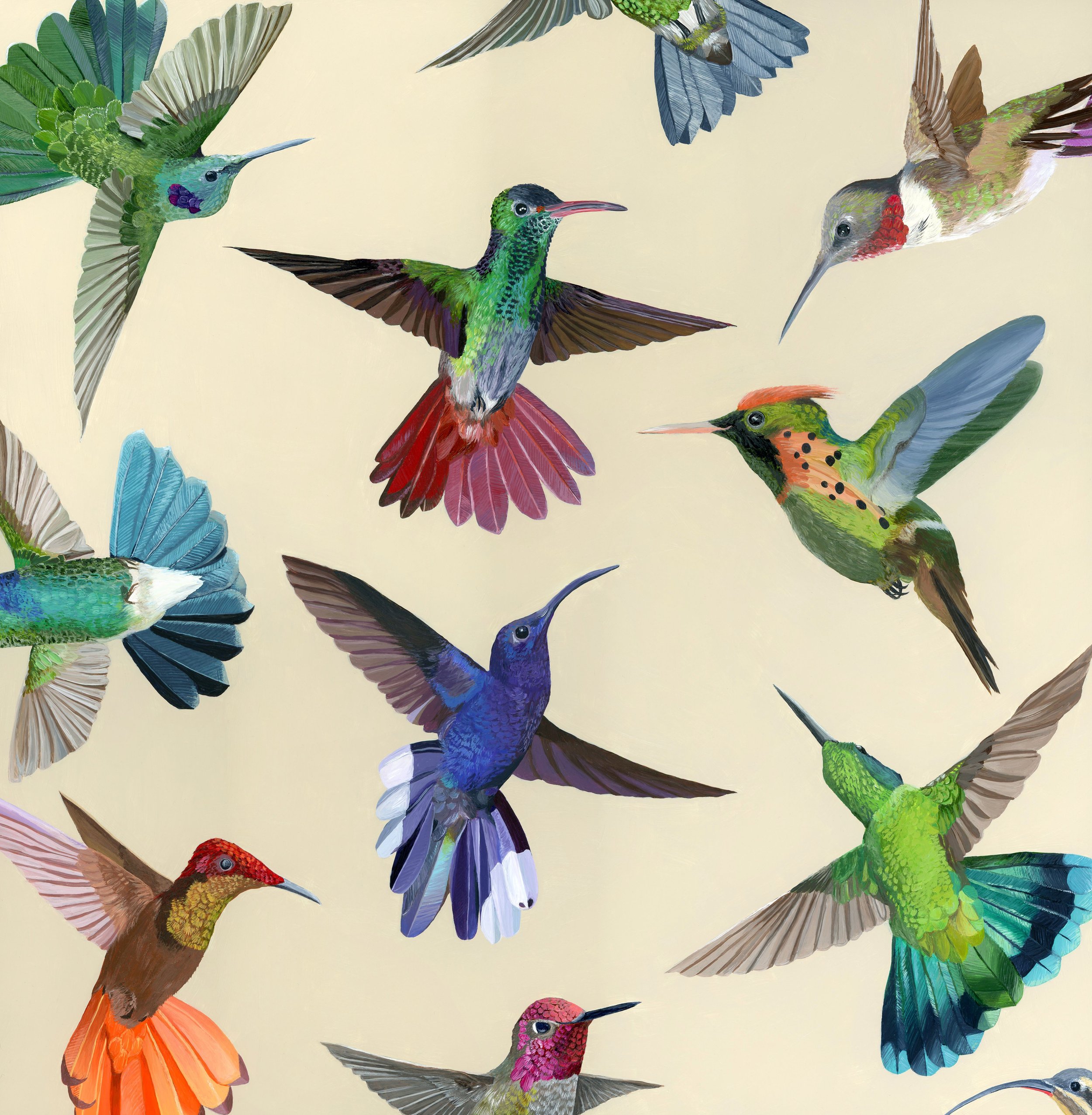 Hummingbird Charm Canvas Print