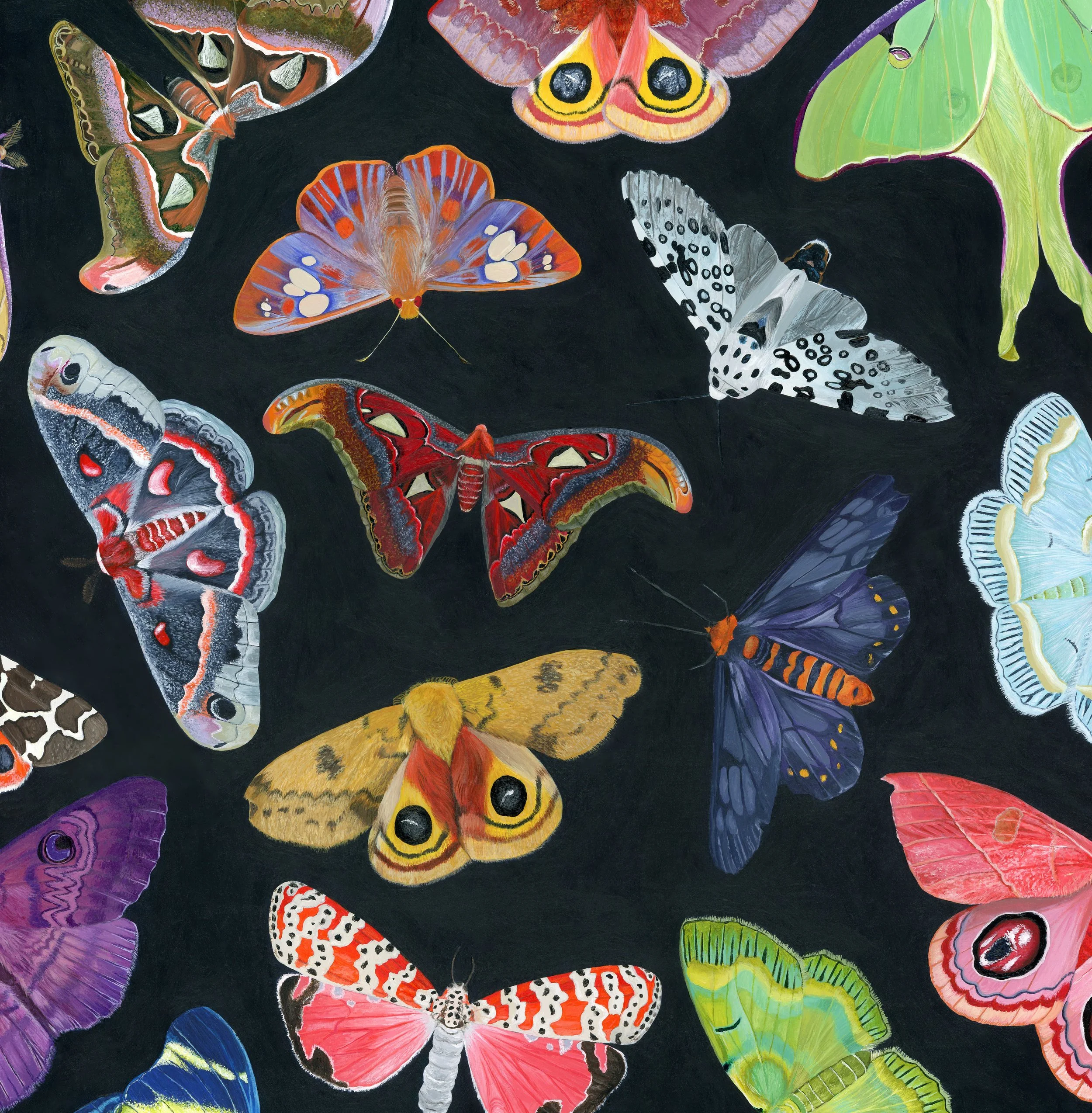 Midnight Eclipse Canvas Print