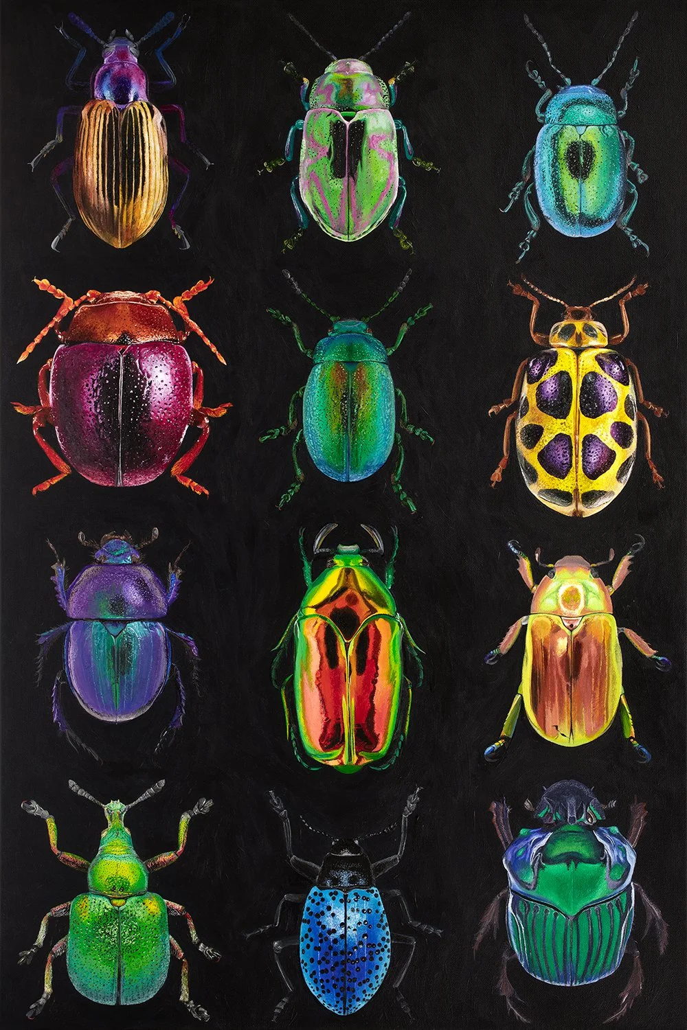 (web) Beetles.jpg