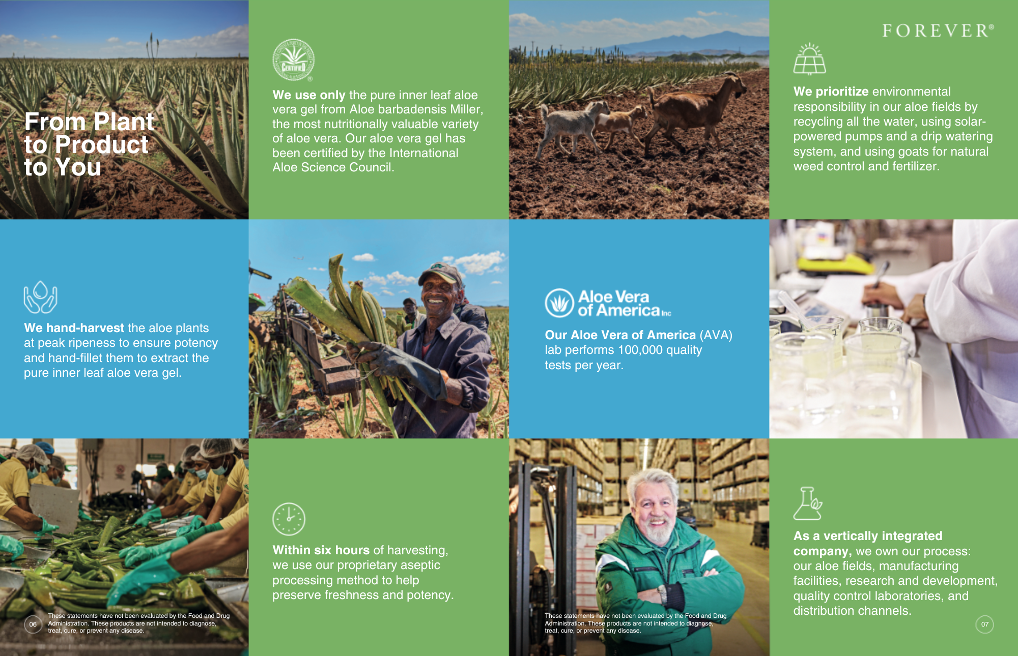 Forever Product Brochure 6-7.png