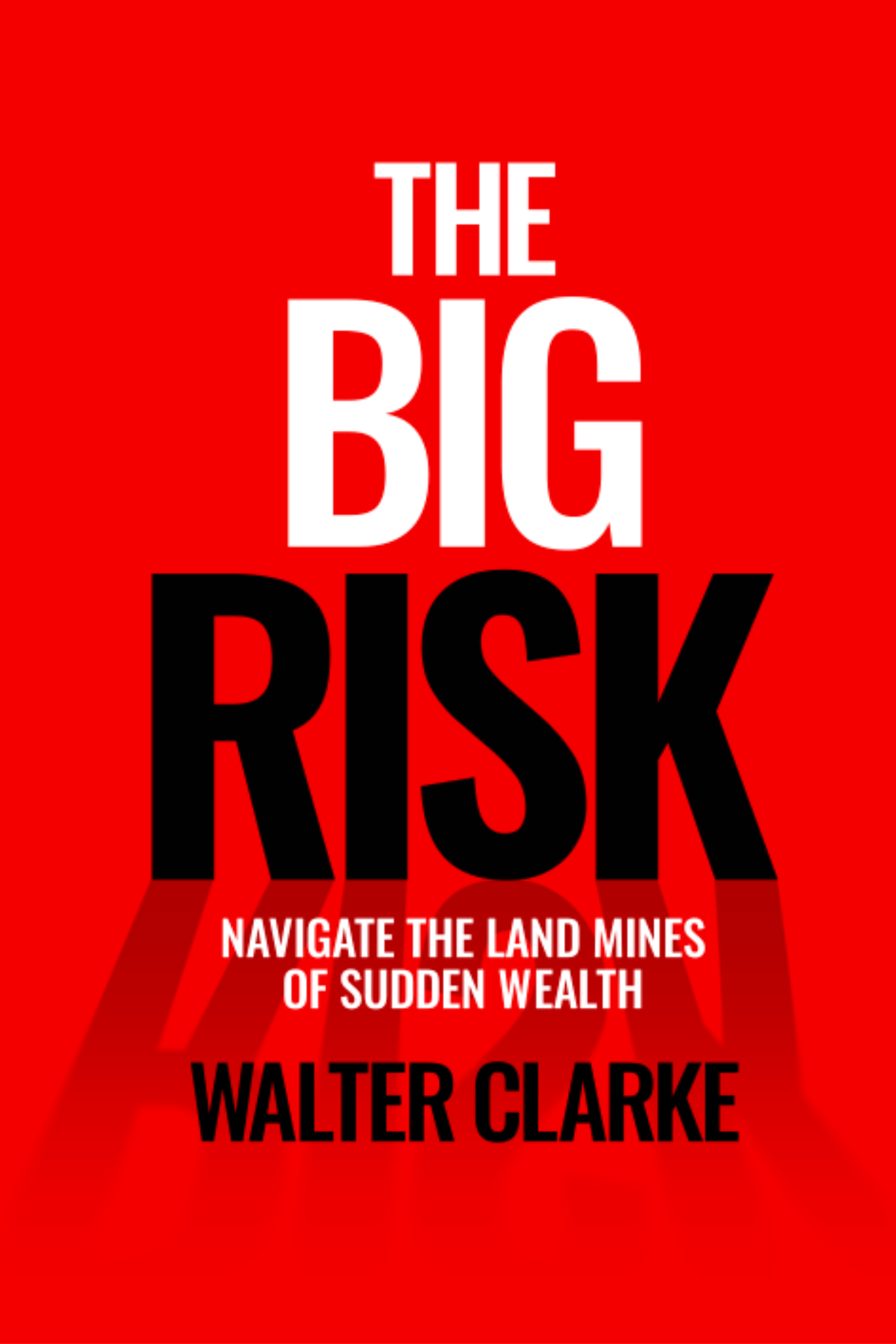 The Big Risk Book Cover.png