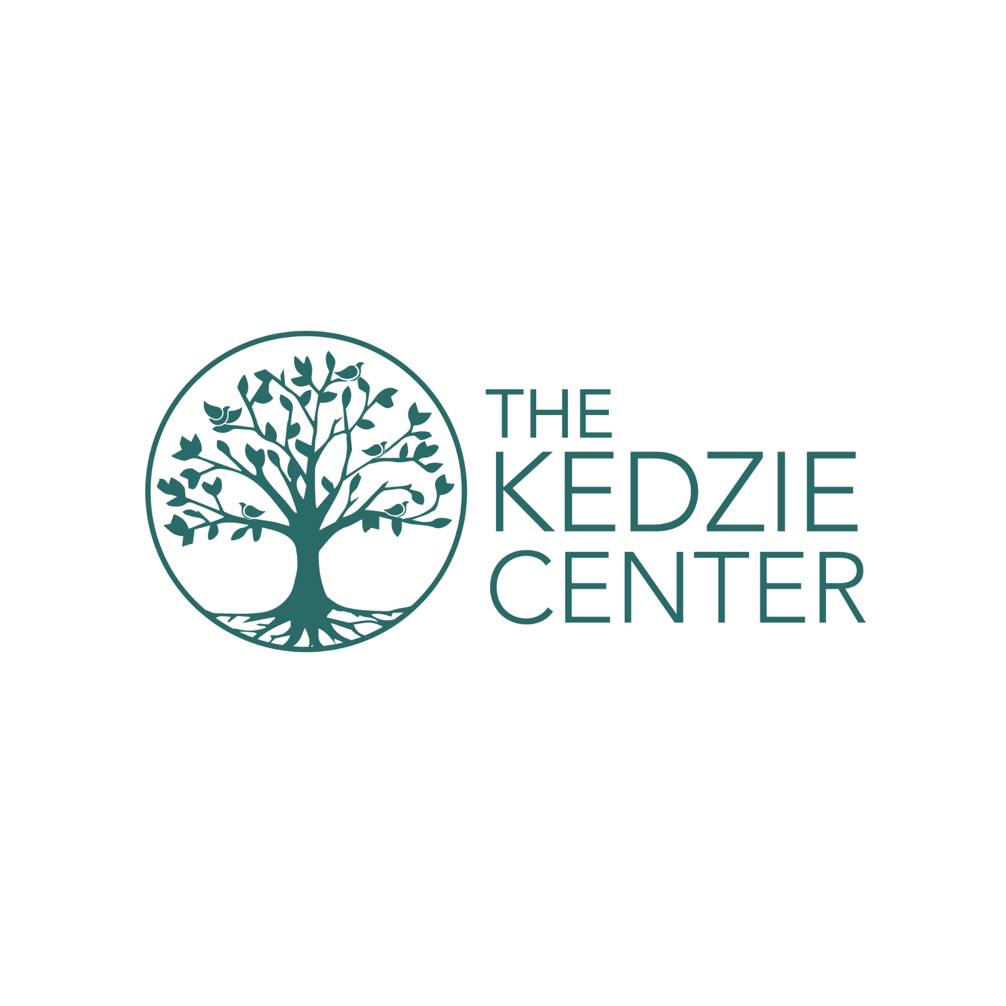 KedzieCenter_Expanded Mental Health Services of Chicago NFP.png