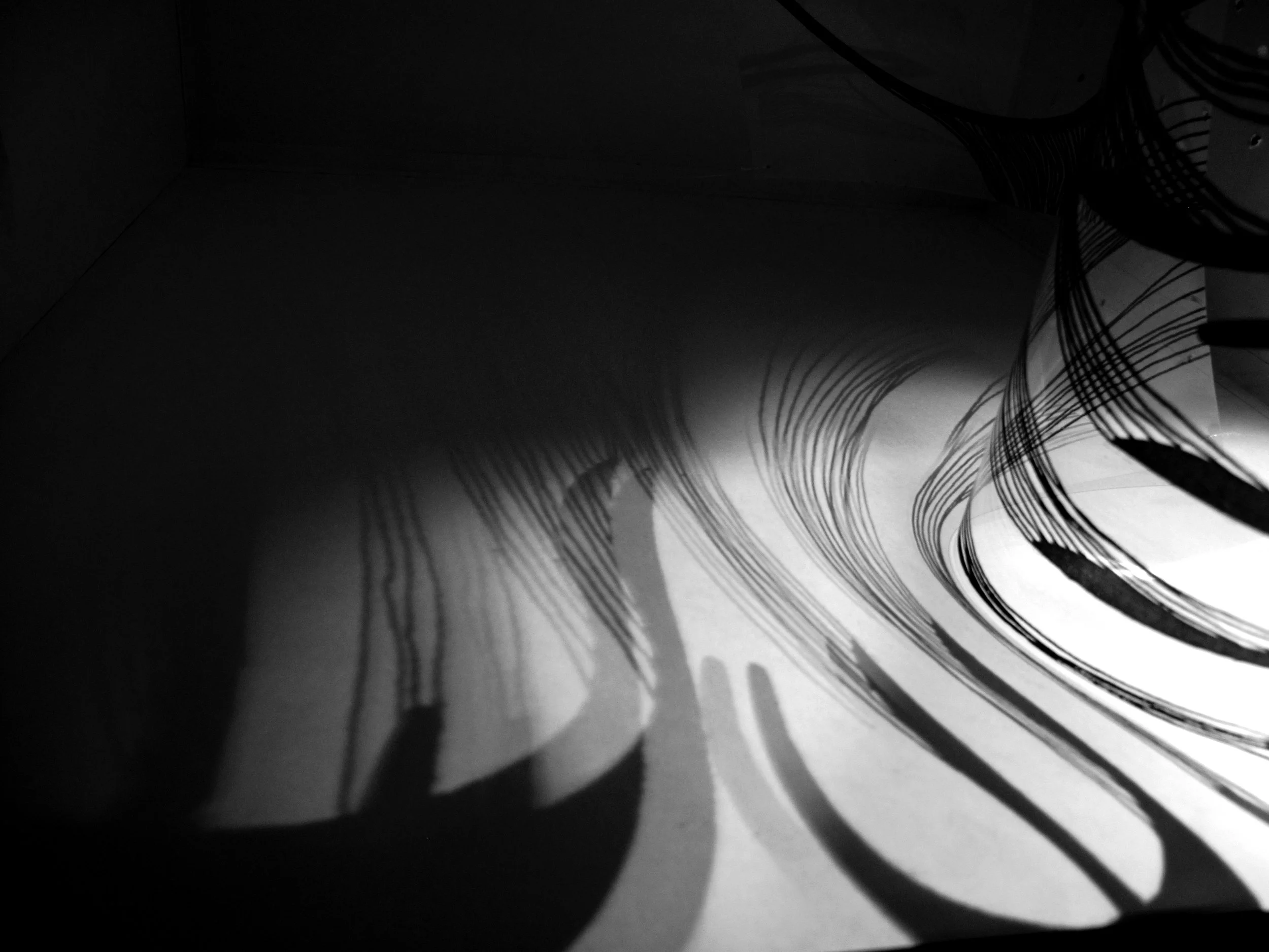 Picture 044 copy.jpg