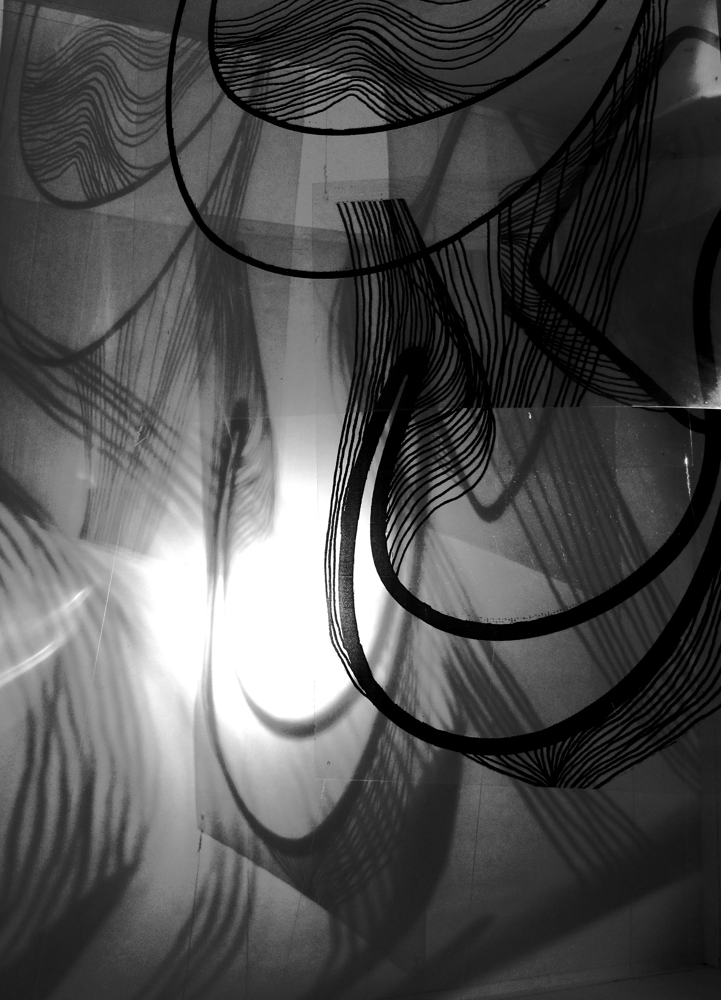 Picture 042 copy.jpg