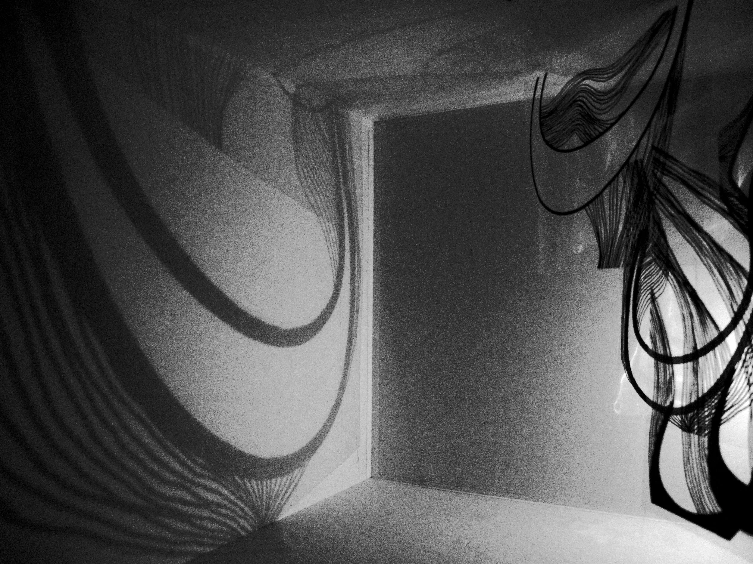 Picture 027 copy.jpg