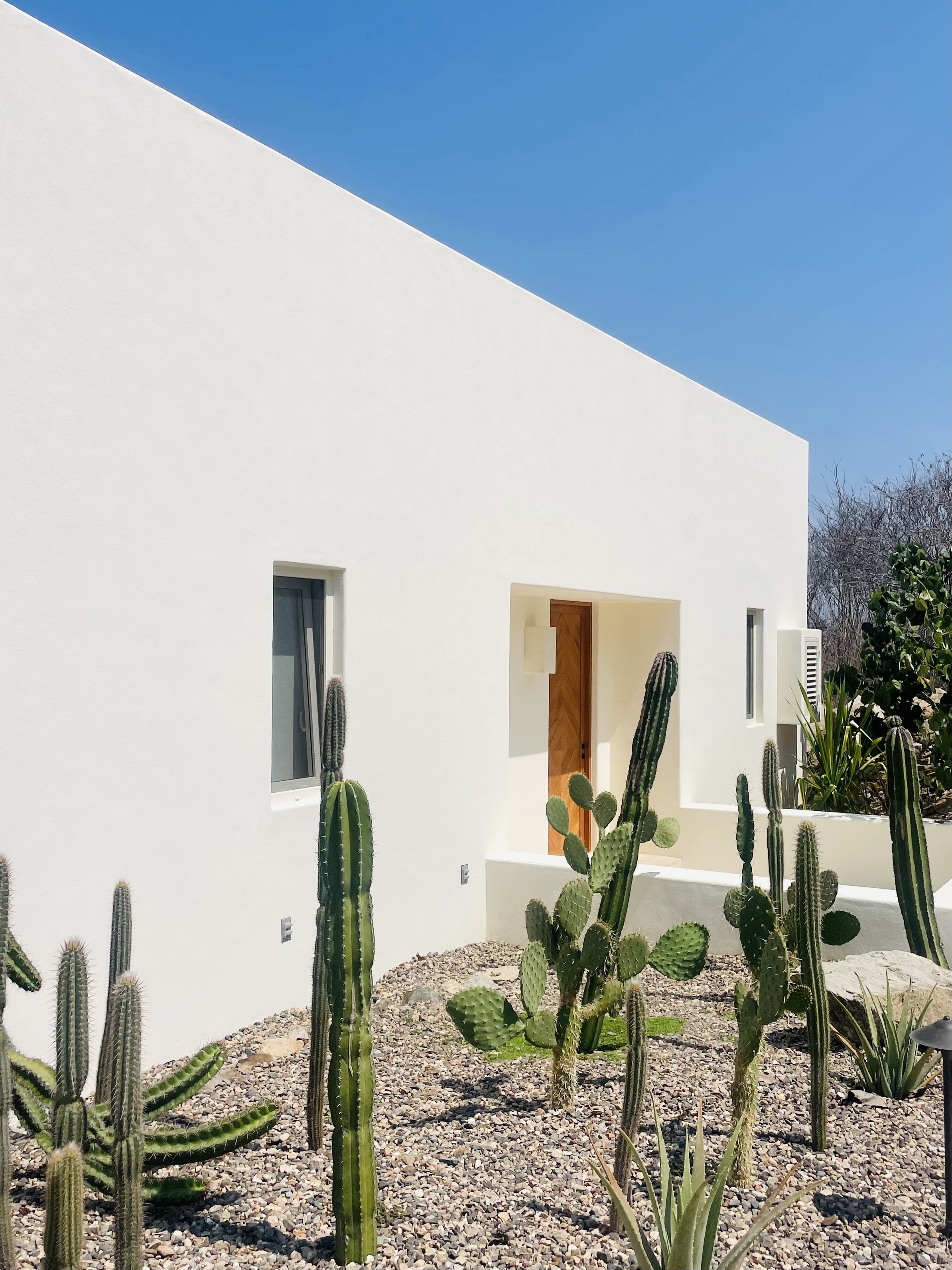 Modern white house with rectangular windows and wooden door surrounded by desert cacti and gravel yard under a clear blue sky.