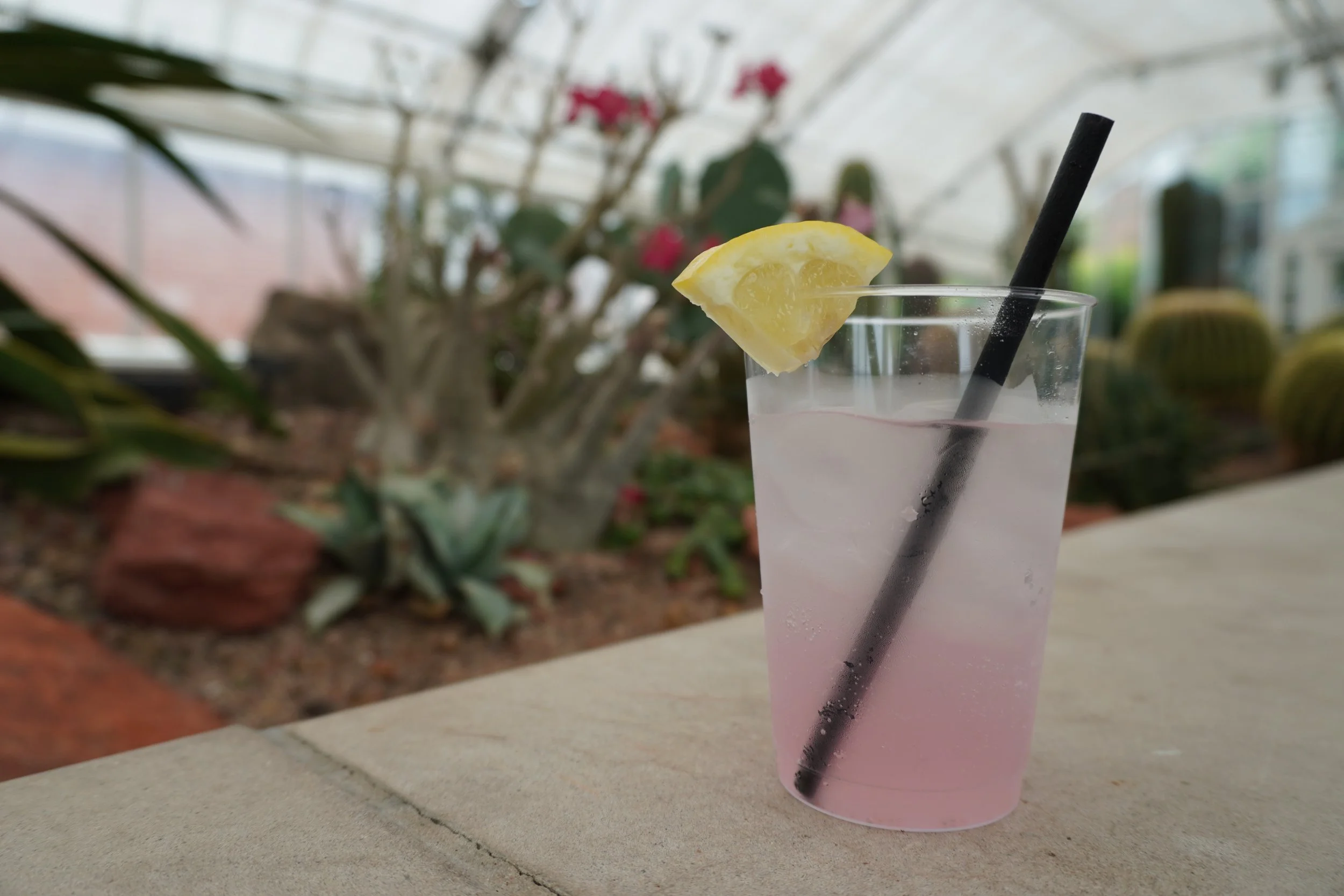 Non-Alcoholic Vanilla Lavender French 75