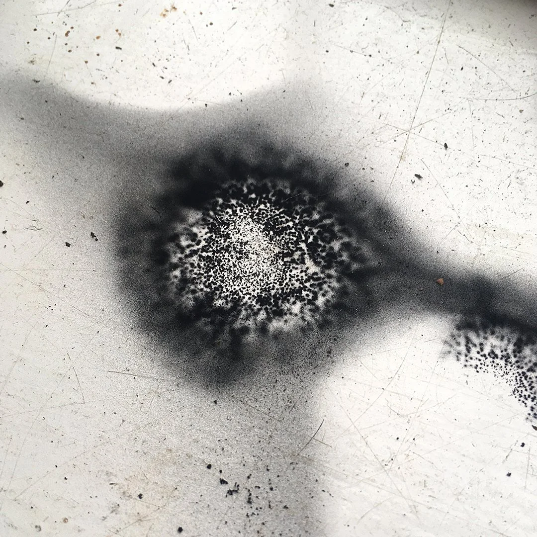 This is what happens when you leave King Alfred&rsquo;s Cakes on the window sill at home&hellip;

King Alfred's Cakes, Daldinia concentrica, are a fungus that grows typically on dead ash, but will also grow on Elm and Beech apparently. I've only ever