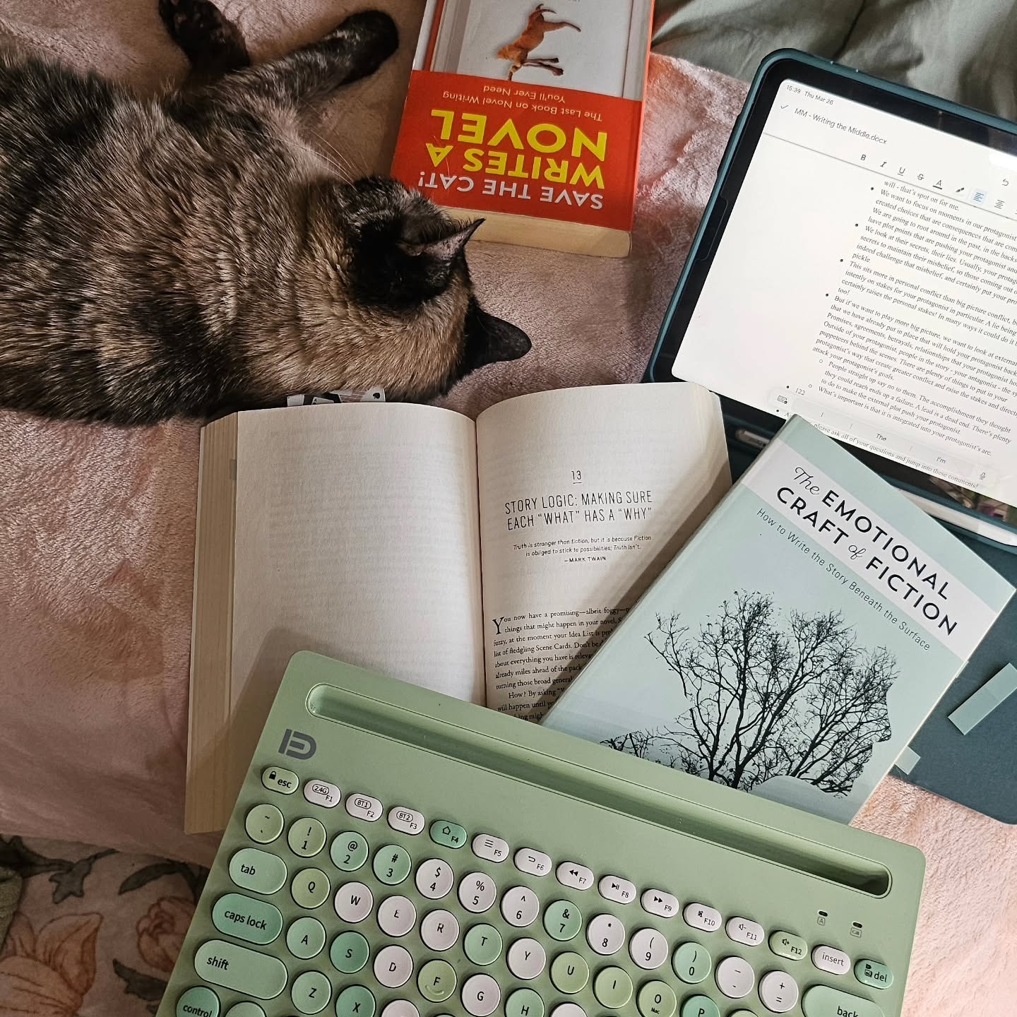 Today's workspace looks an awful lot like the inside of my brain 🙃

I'm spending the day scripting out videos for the rest of my Manuscript March series over on TT. Noodle is assisting (barely).

I haven't told Instagram yet, but consider this the a