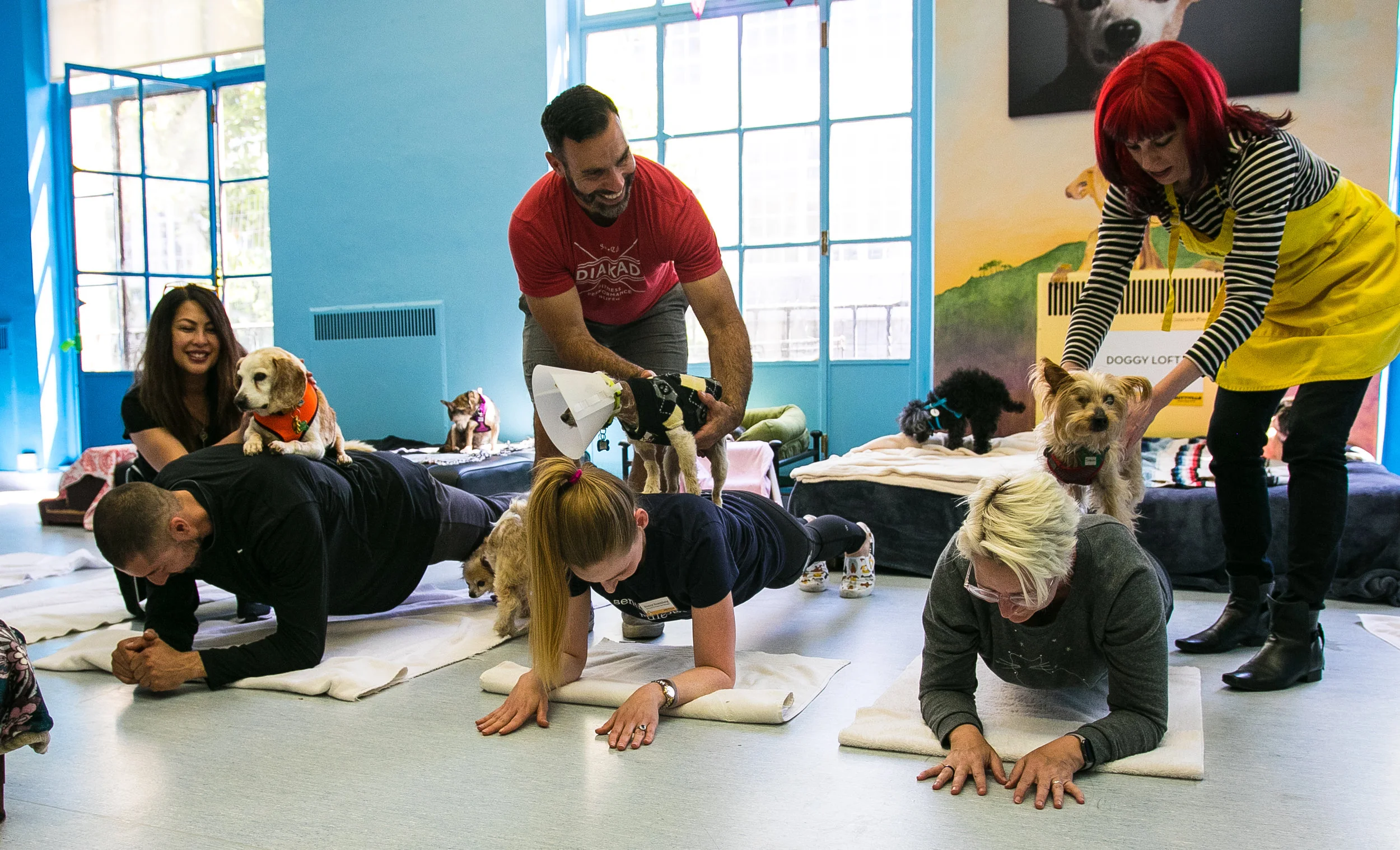 2017 05 15 Muttville Exercise Class-19.jpg