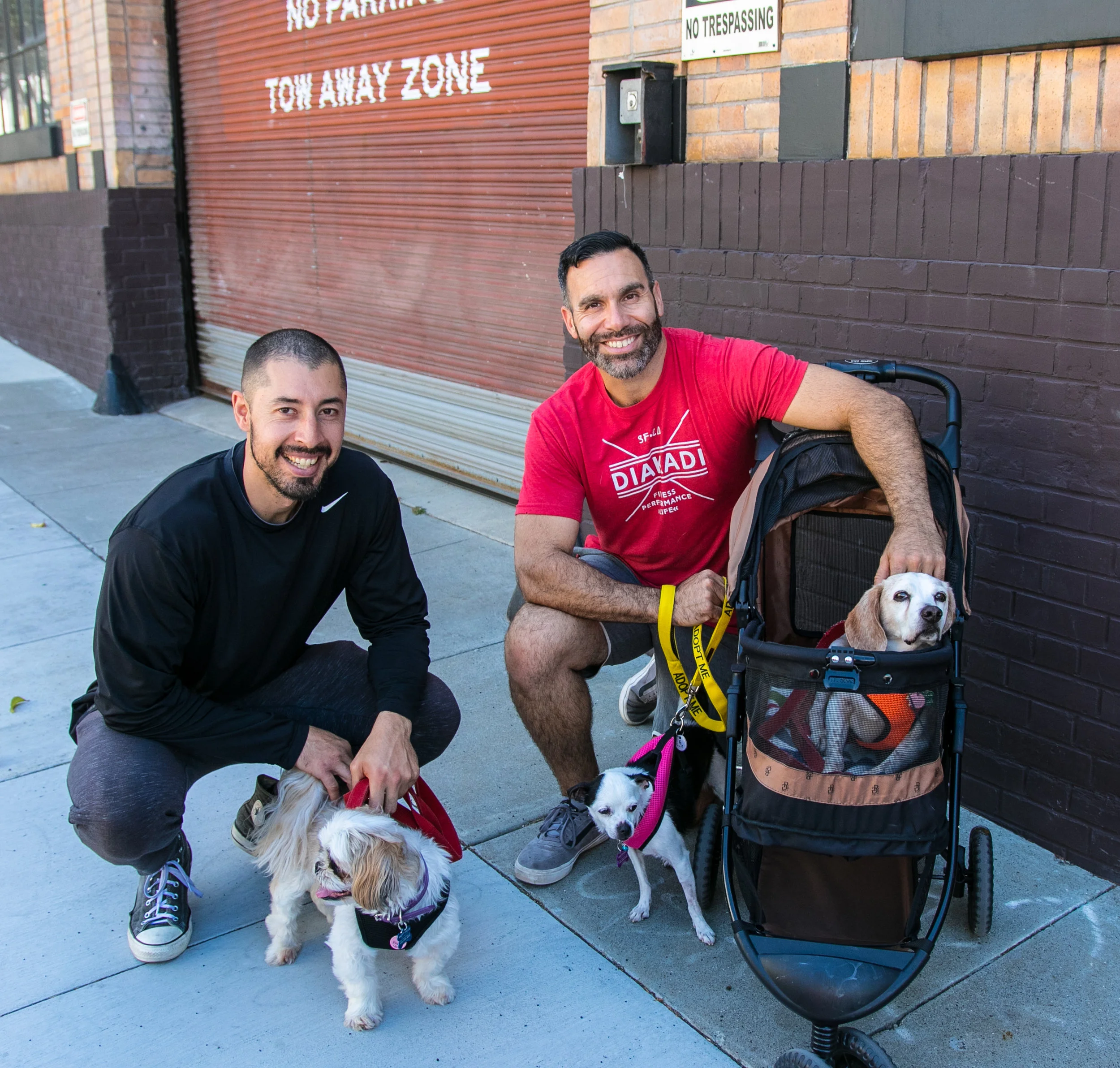 2017 05 15 Muttville Exercise Class-26.jpg