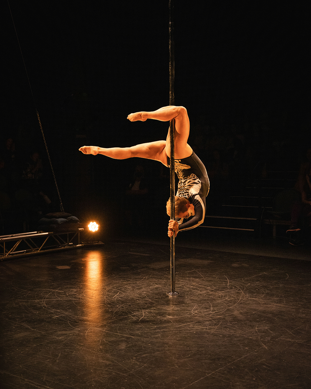 natalie-carey-pole-dance-champion-trainer.png