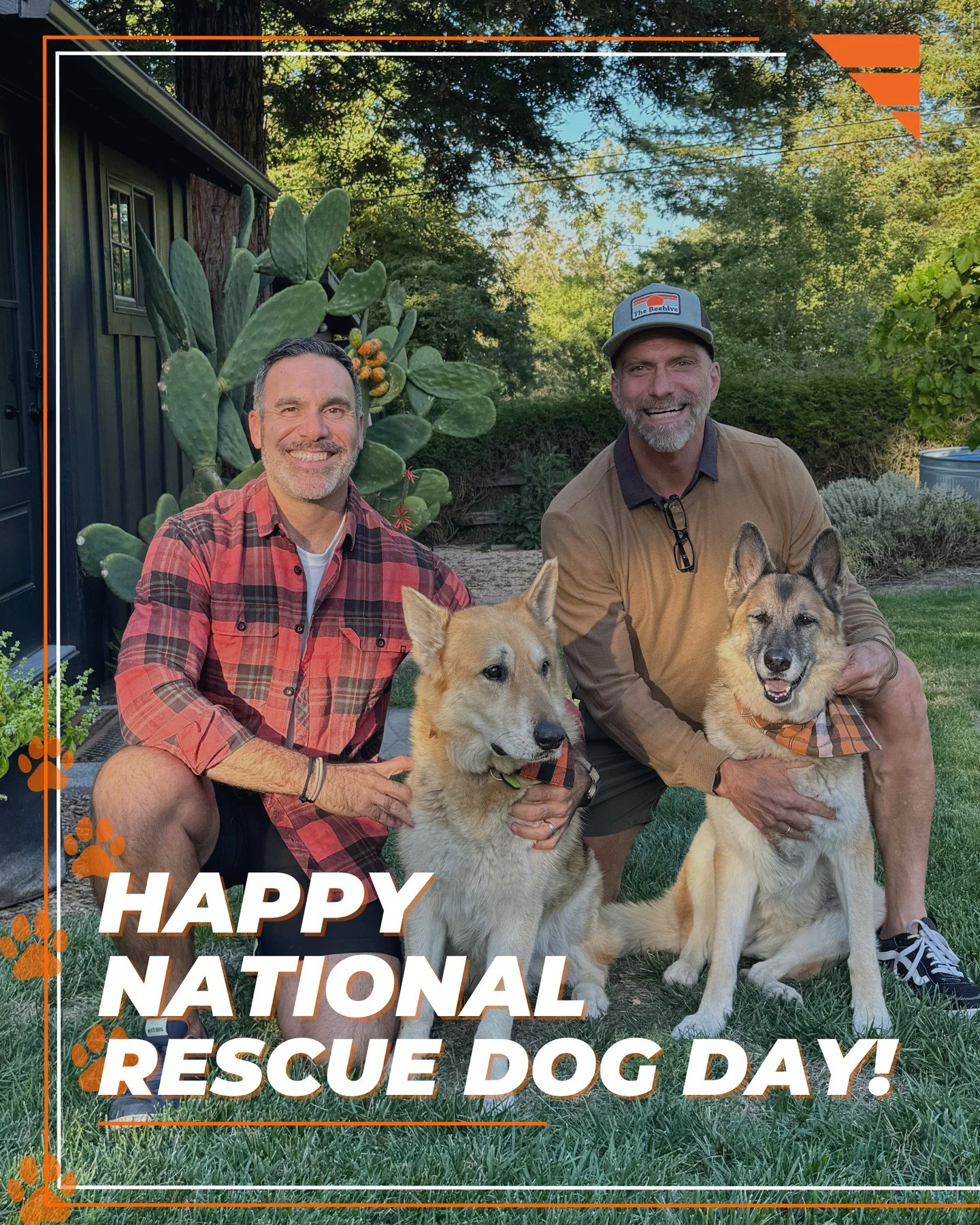 Happy National Rescue Dog Day! ⁠
⁠
Rescue dogs come with stories but they also come with the ability to adapt, grow and become incredibly solid companions with the right environment.⁠
⁠
Today we&rsquo;re recognizing the rescue pups who have found the