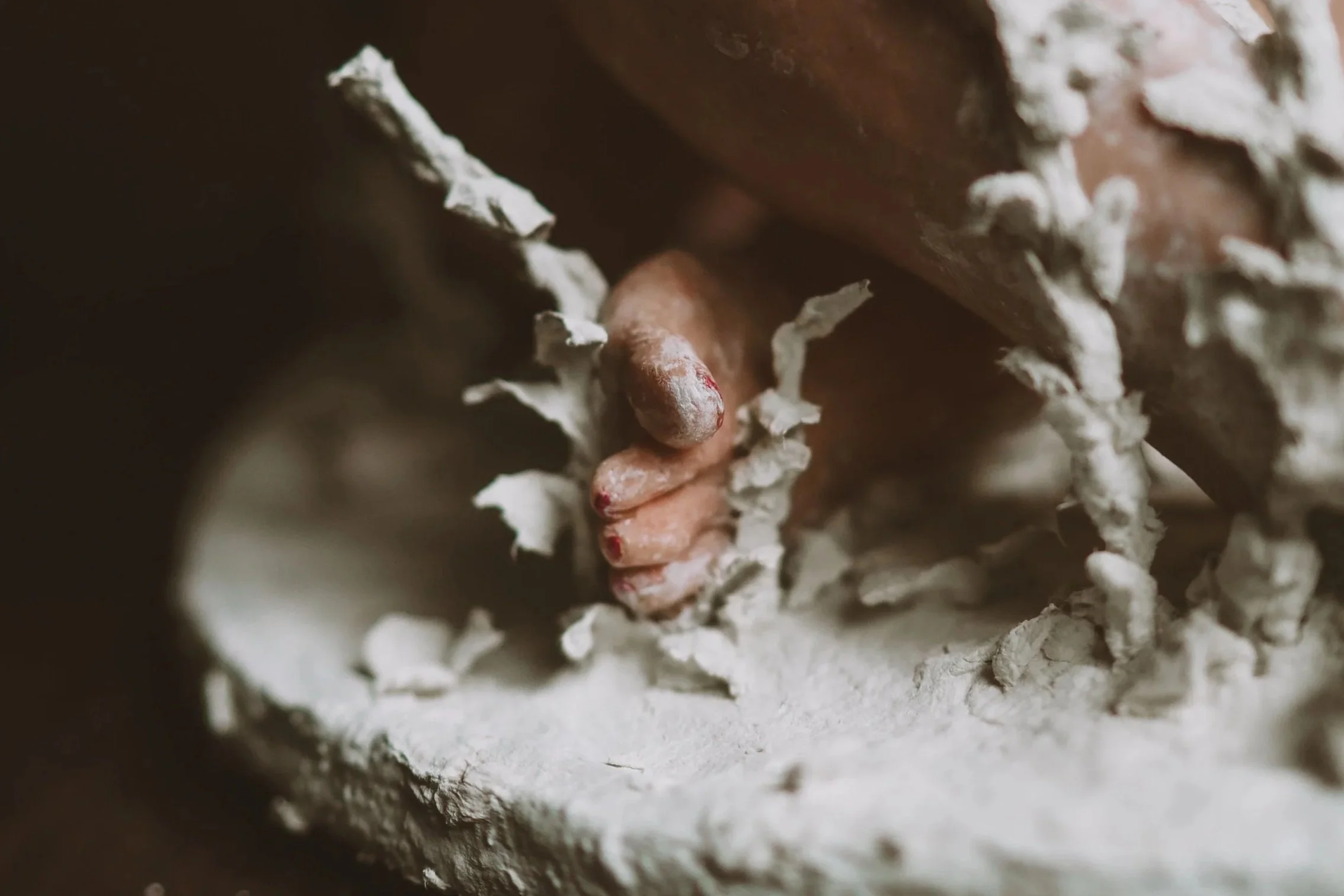 Close-up view of small baby birds nestled inside a nest lined with shredded paper and natural materials.