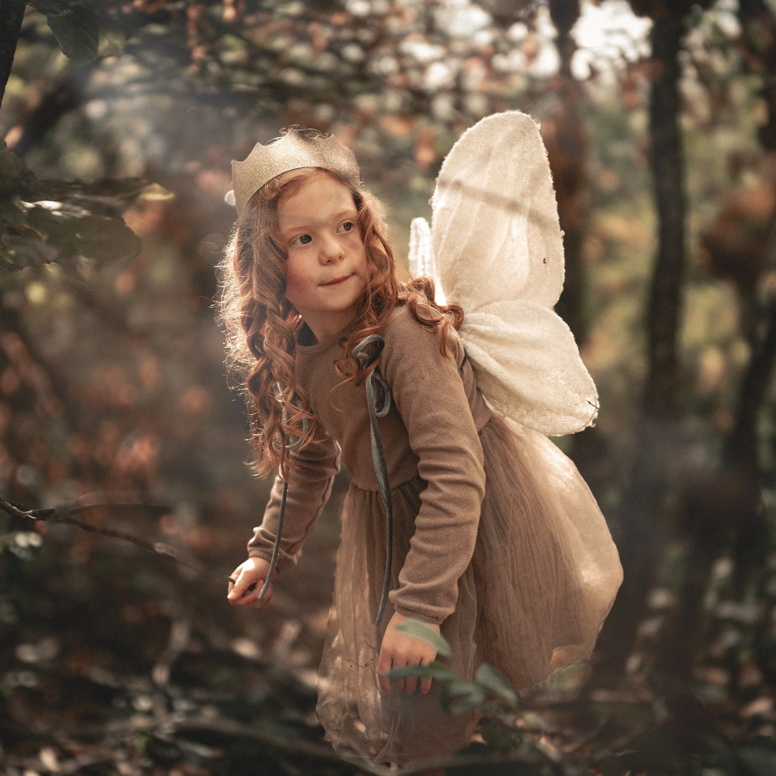 A young girl dressed as a fairy with white wings and a gold crown, exploring a forest with autumn leaves.