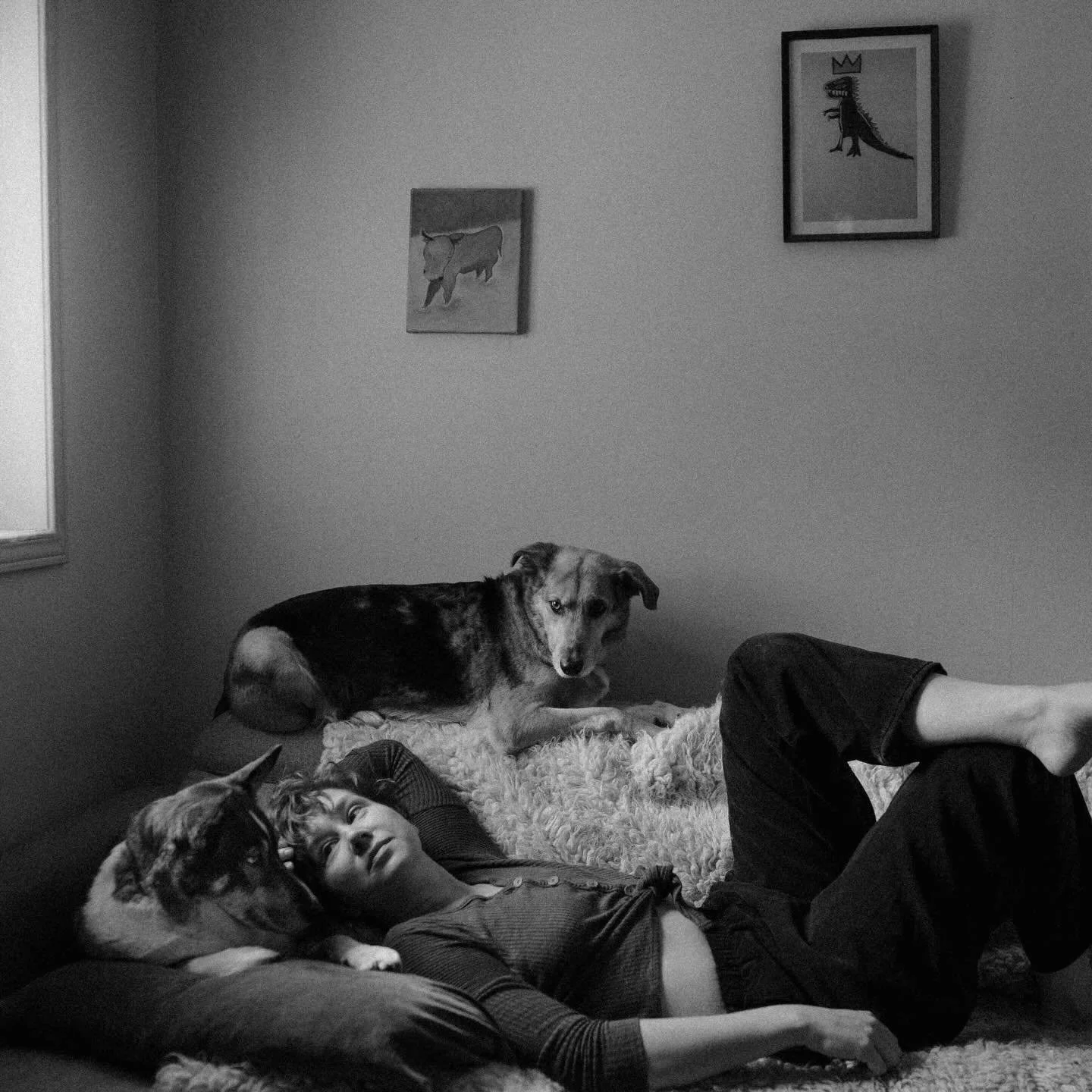 Woman&rsquo;s best friend 💛

My girls have been with me for most of the last decade. They have been my family, my heart, my joy and many a moment of frustration. I&rsquo;m so incredibly grateful for my goobers. I wouldn&rsquo;t be the person I am to