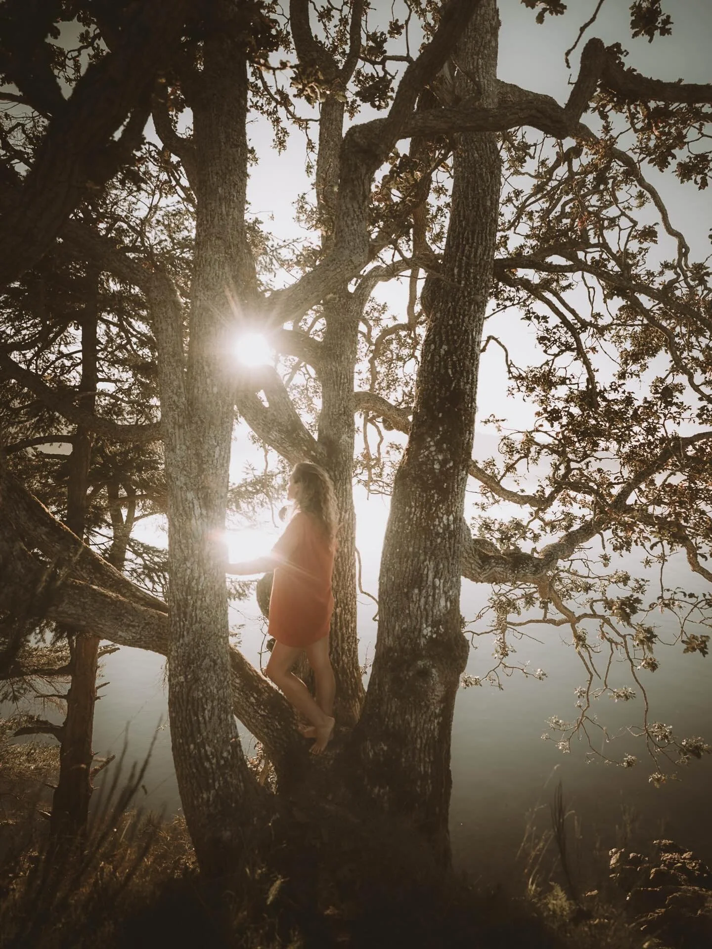 Love has many forms. Stepping into the light and choosing to be seen is one of them.
#photographyforwomen #naturelover