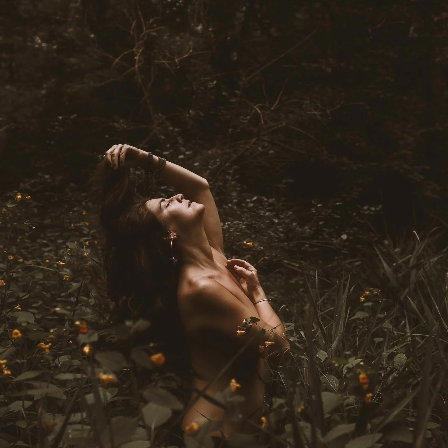 @emmaandersmusic in the wilderness of Mount Royal
Wild doesn&rsquo;t have to mean remote. Nature is our anchor even in the heart of the city.