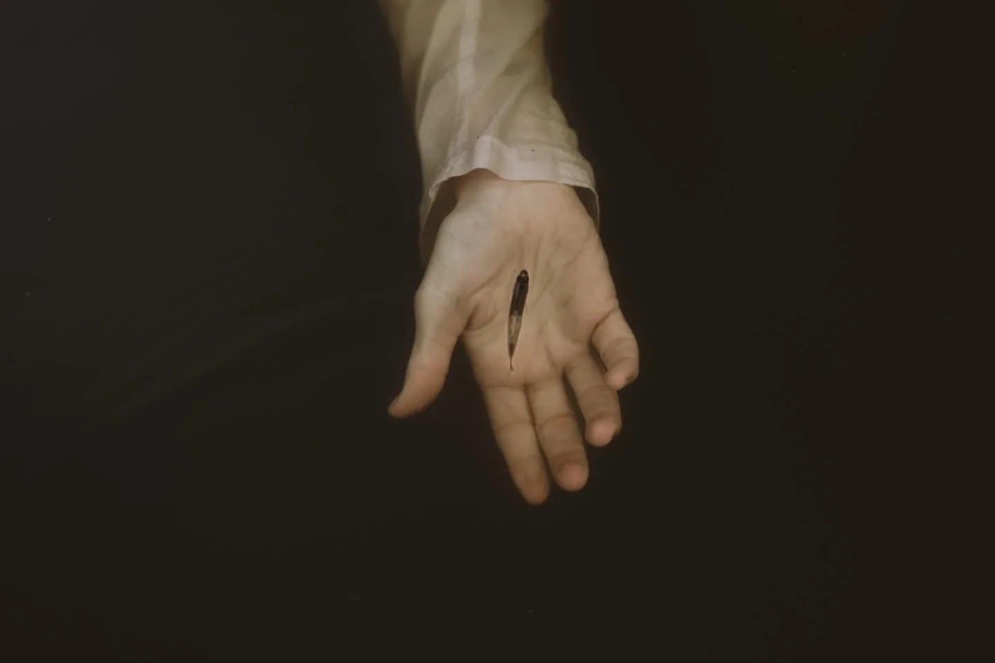 Cassie let her hand linger just under the surface of the lake. To both of our surprise this little fish came to rest in the safety of her outstretched palm.
Dm me if you would like a fishy print.
#wildanimals #watercolours #naturephotography #montrea