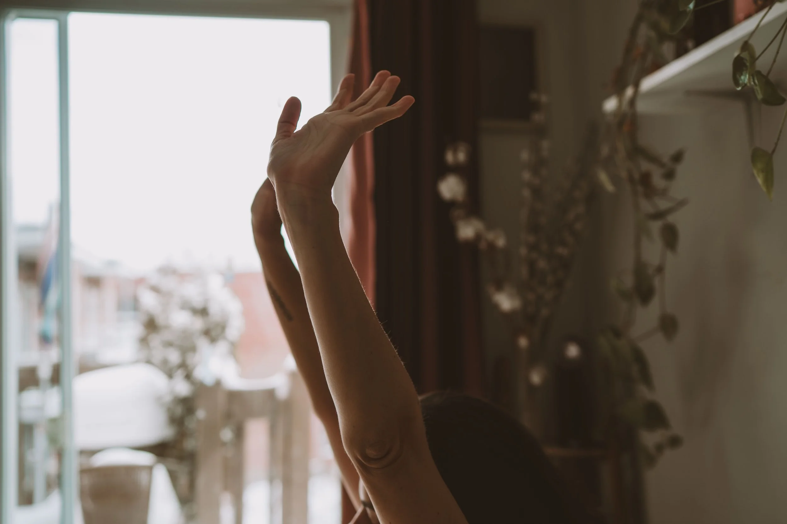 Person practicing yoga or stretching with arms raised, in a room with natural light coming through a window, and decorative plants on a shelf.