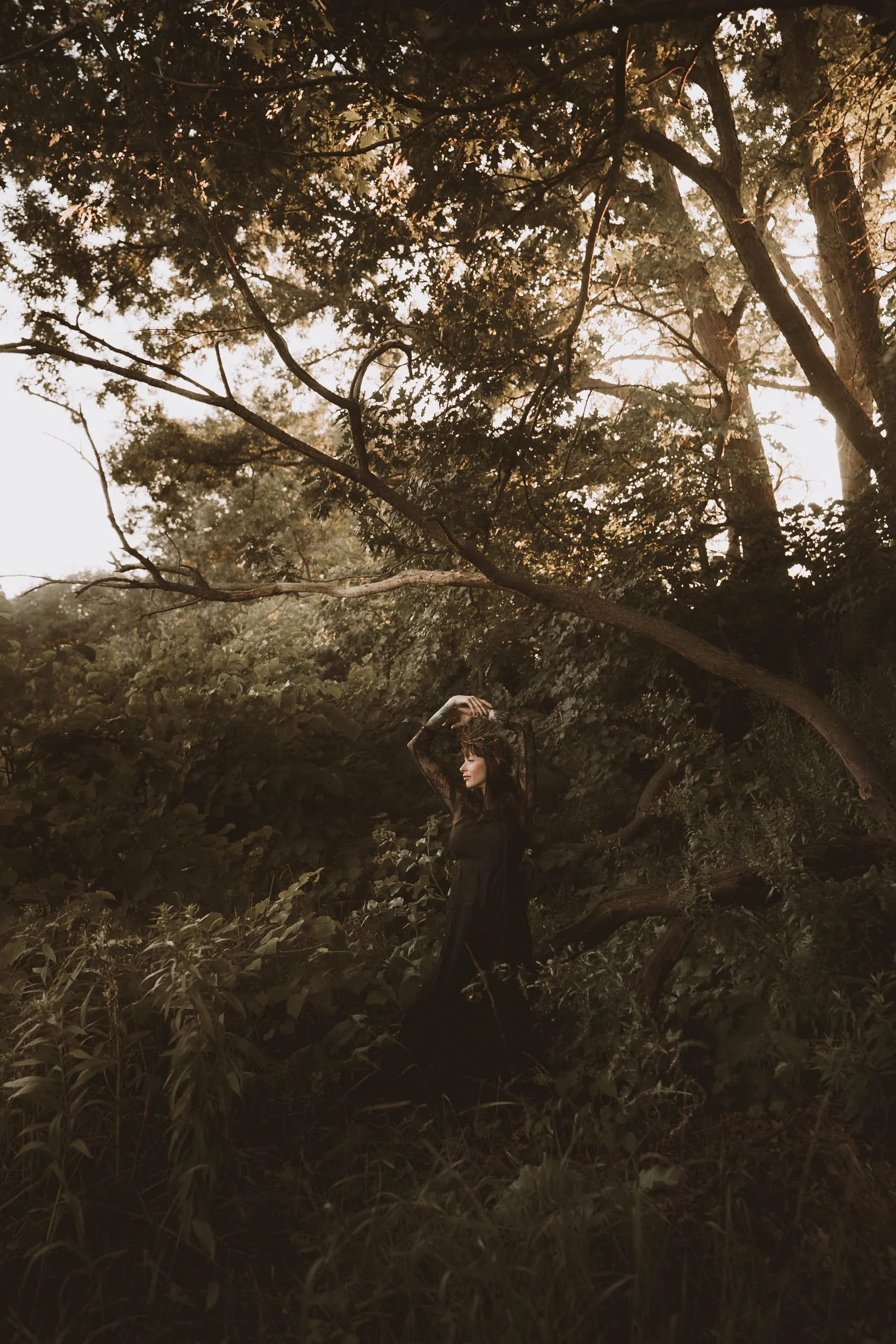 A woman in black dress standing in a lush forest with large trees and dense foliage, sunlight filtering through the leaves, creating a mystical atmosphere.