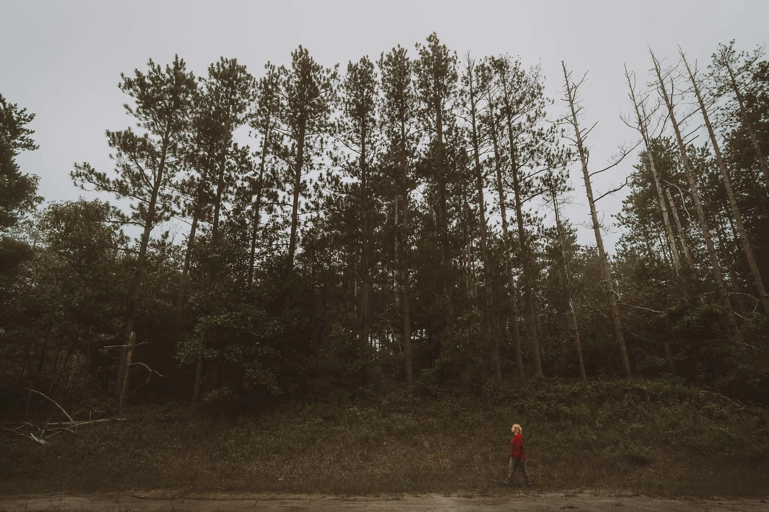 A person in a red jacket and gray pants standing on a grassy area in a forested area with tall trees under an overcast sky.