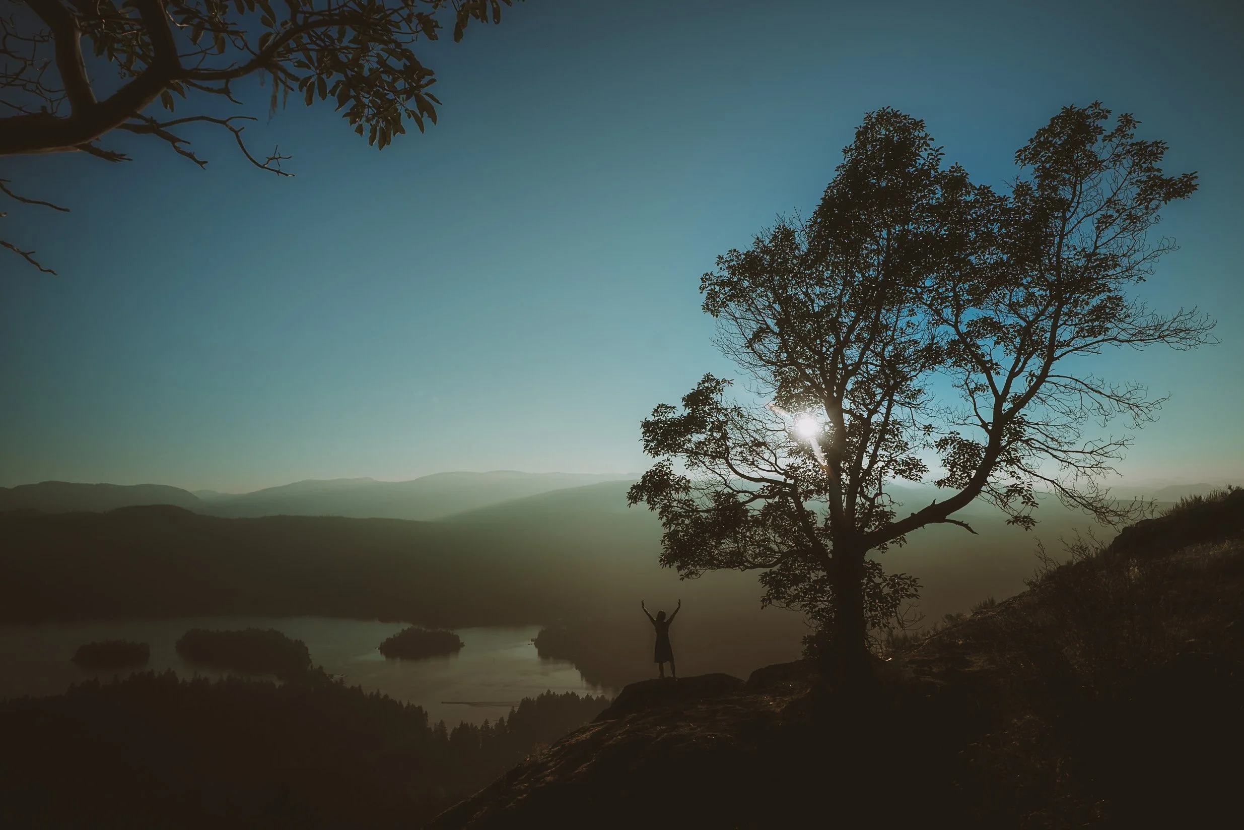 A silhouette of a person standing with arms raised in front of a large tree during sunset or sunrise, with a mountain and river landscape in the background and the sun partly visible behind the tree.