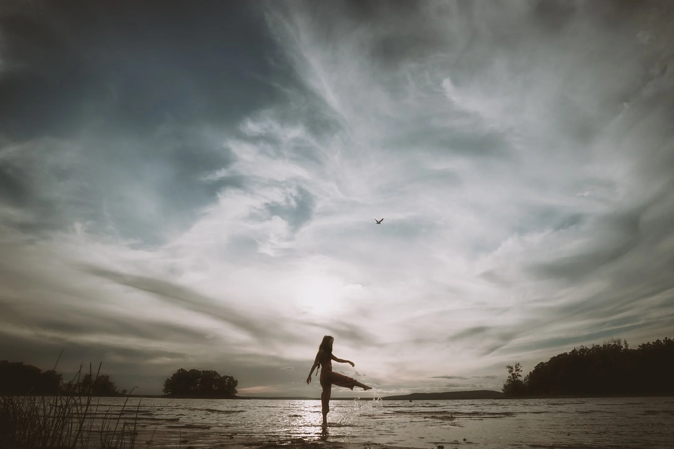 A person dancing on a beach at sunset or dusk with cloudy sky and a bird flying overhead.