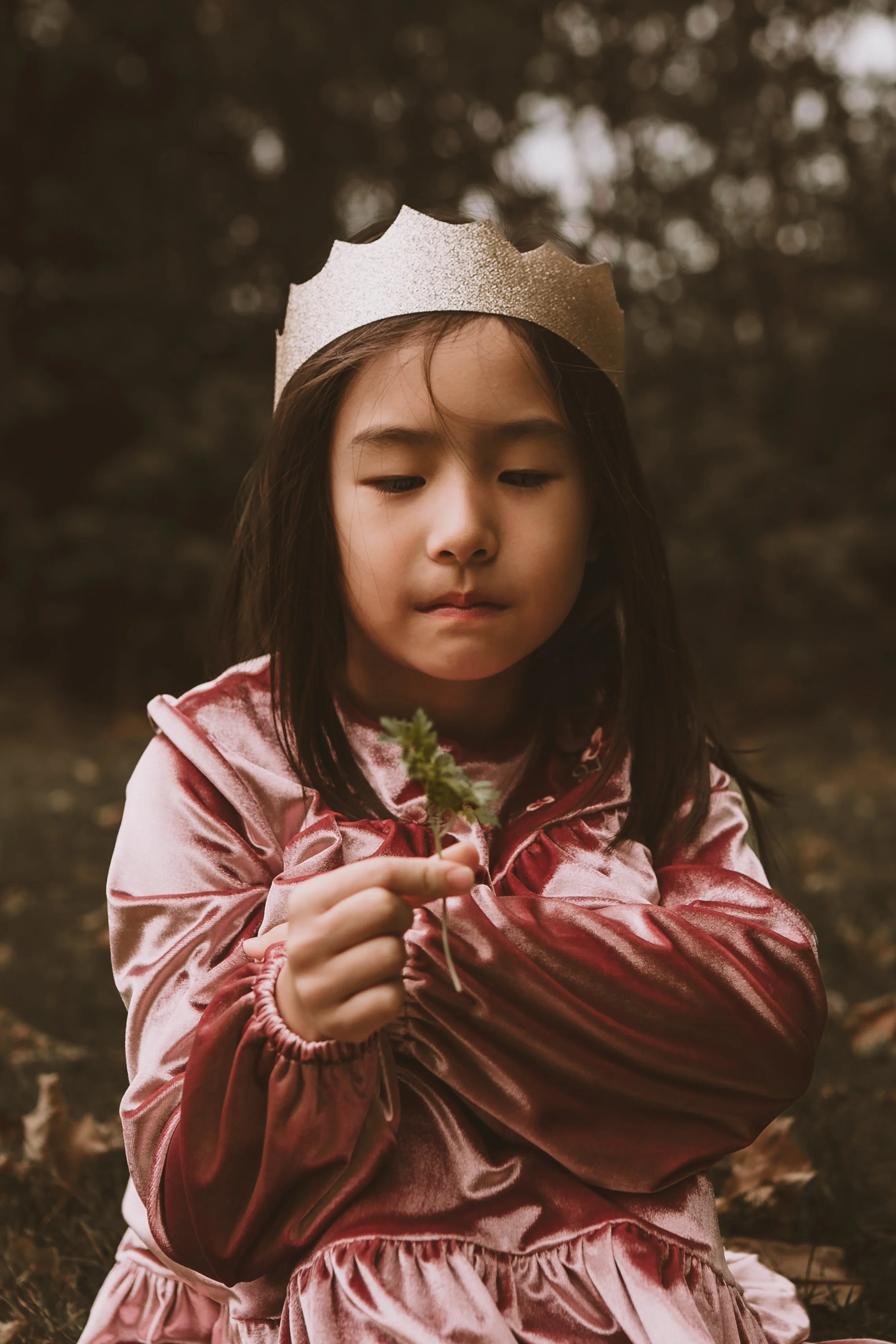 A young girl with long dark hair, wearing a gold-colored crown, a pink velvet jacket, and a ruffled pink dress, holding a small flower, outdoors with blurred trees in the background.