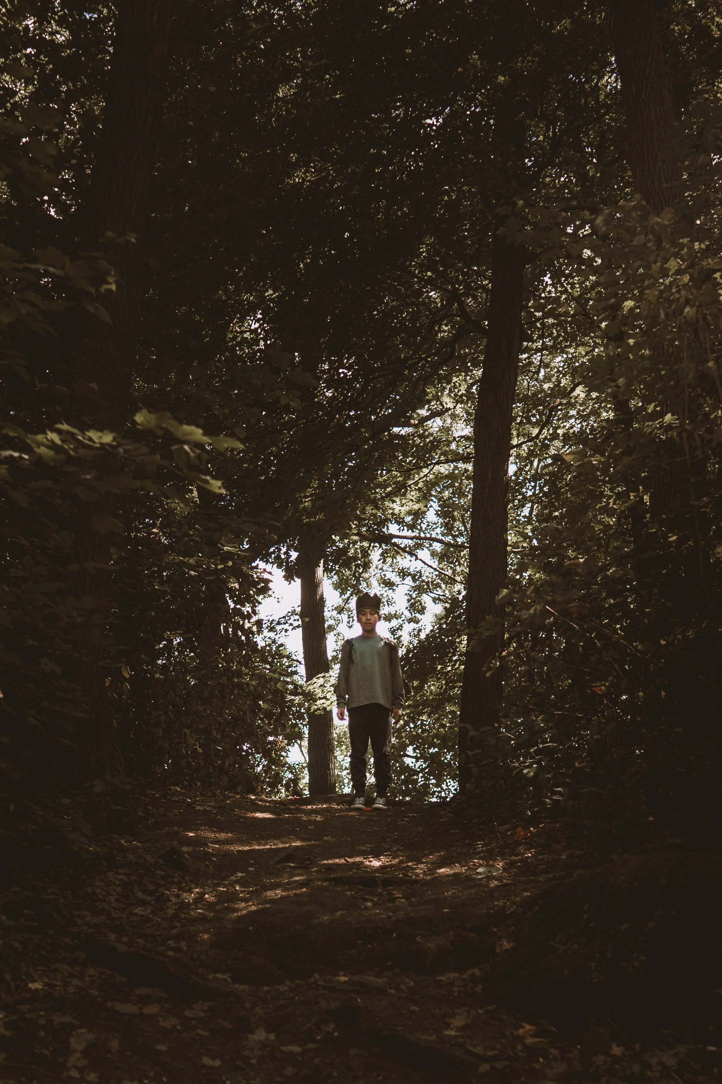 A person standing on a dirt path in a forest with tall trees and dense foliage, backlit by sunlight filtering through the leaves.