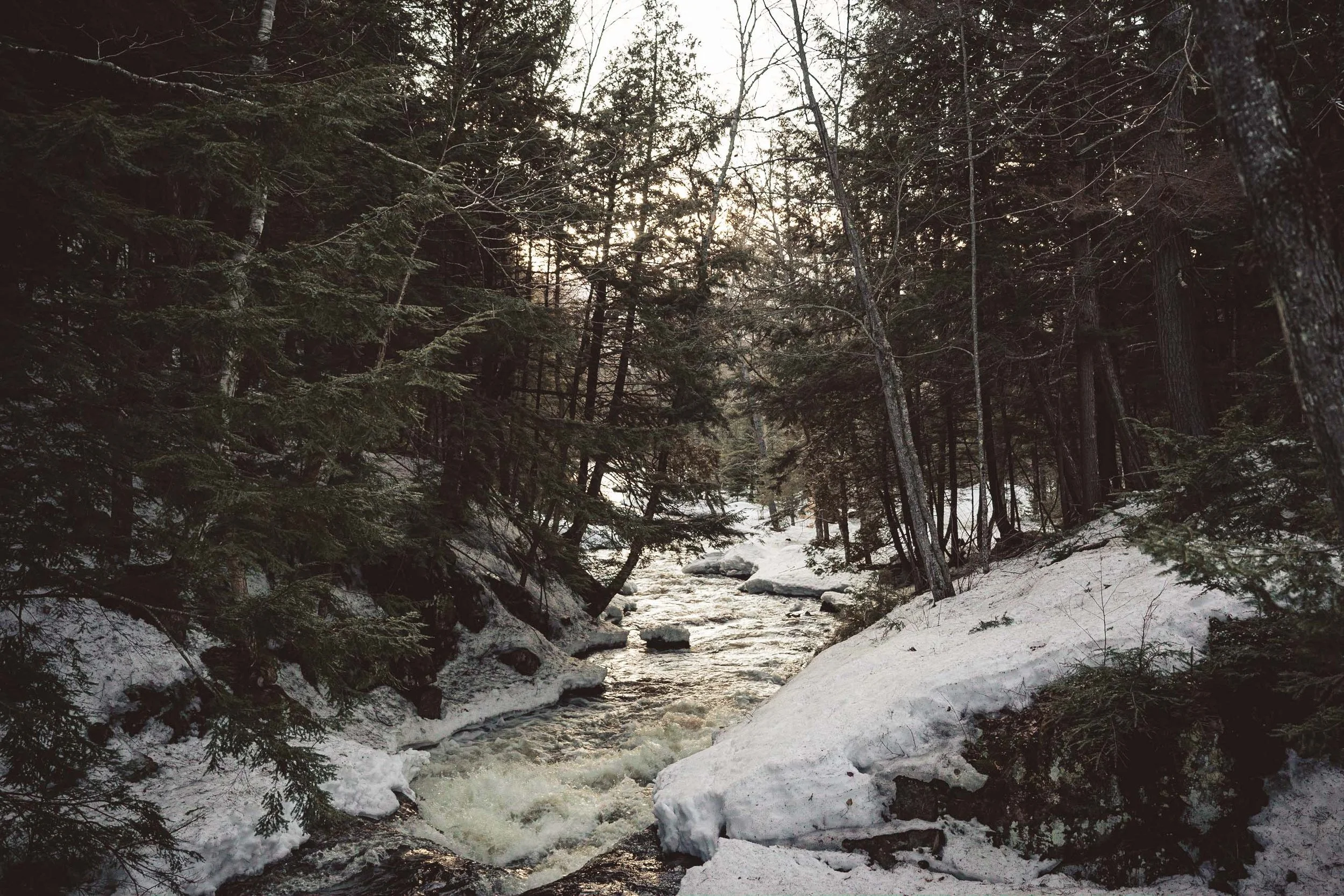A mountain stream flowing through a snow-covered forest with pine trees and bare branches, with sunlight filtering through the trees.