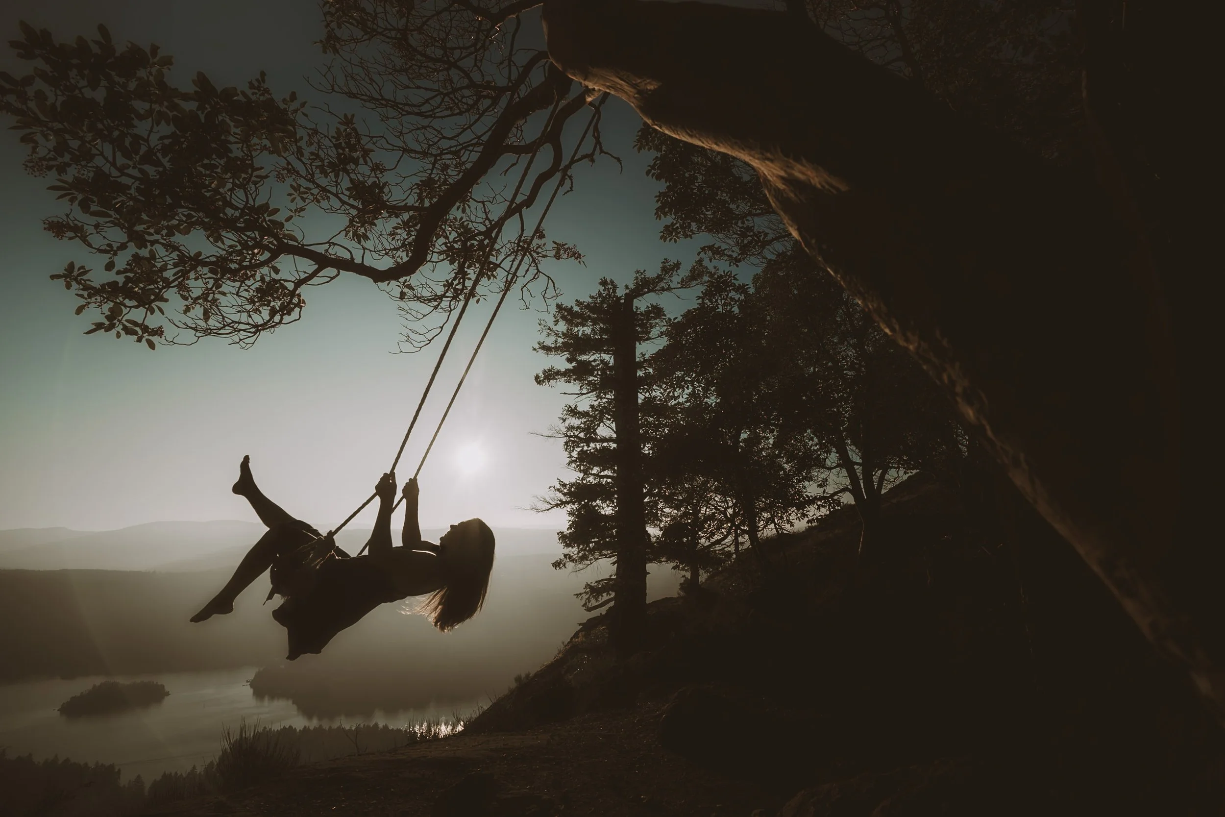 Person on a swing hanging from a tree during sunset or sunrise with a backdrop of a lake and mountains.