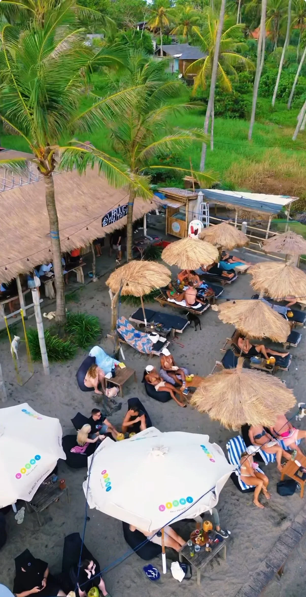 Seseh - Drone shot from above the restaurant.jpg
