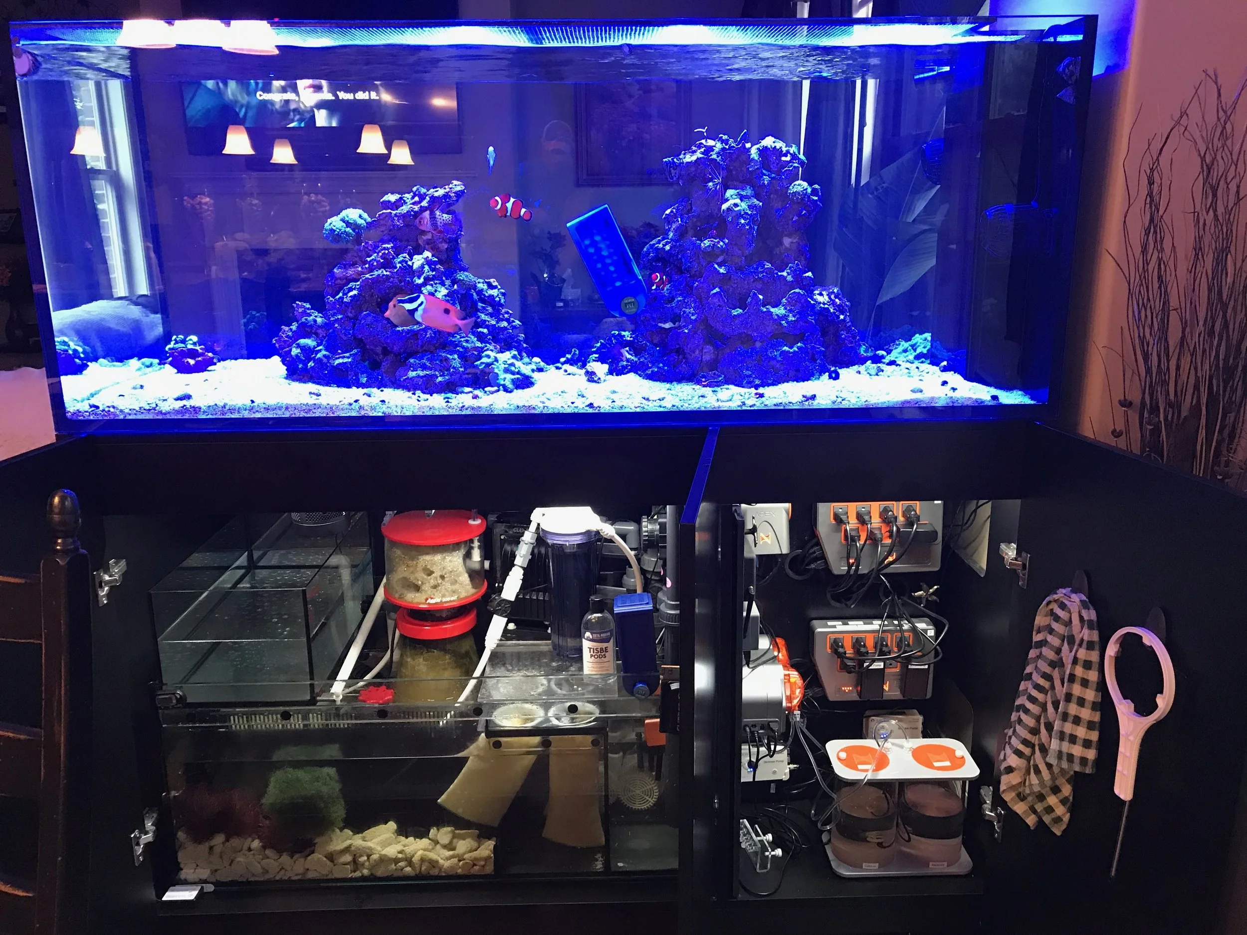 Our Red Sea Reefer Peninsula 650 Build