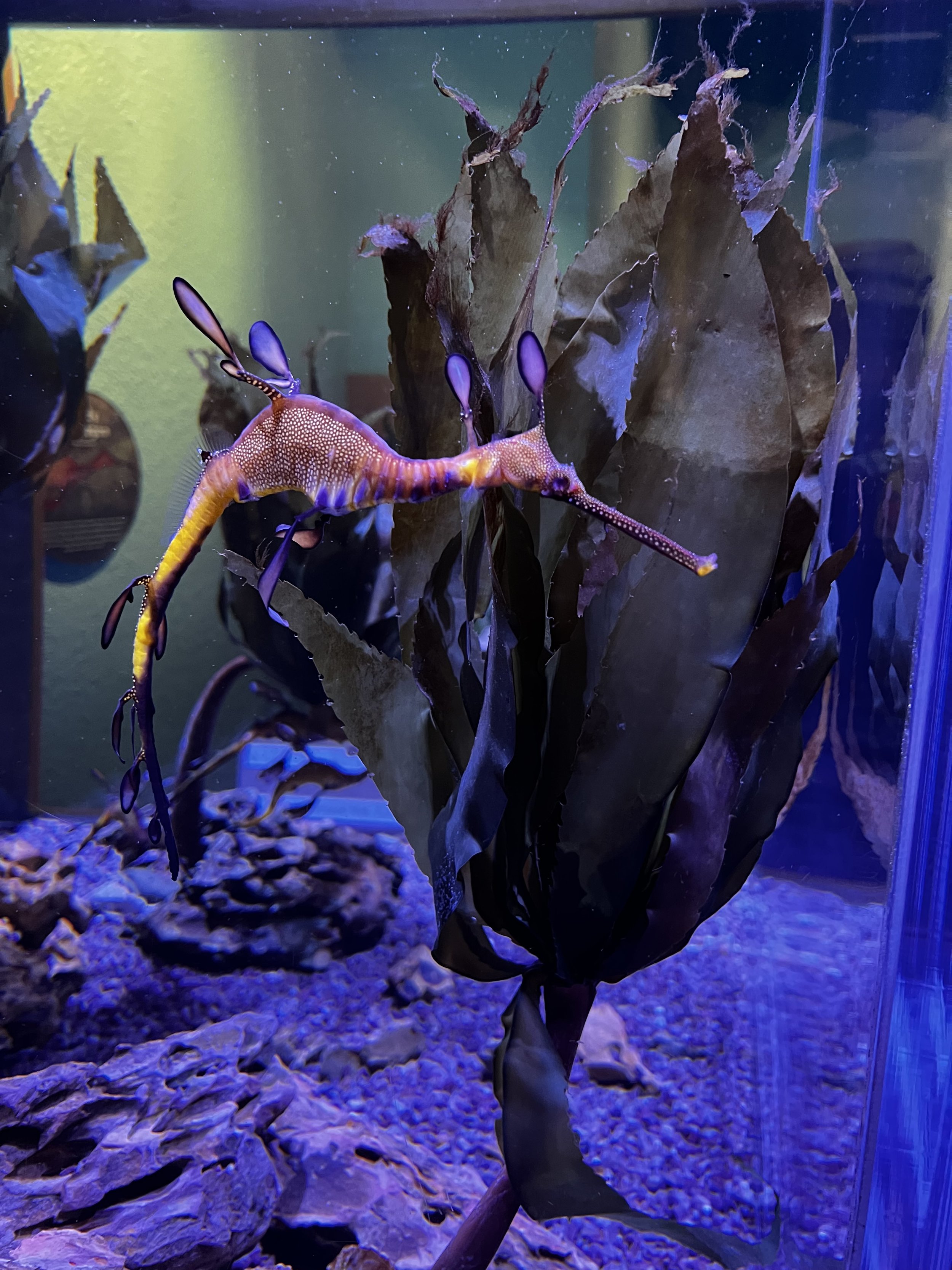 IMG_1224.jpeg