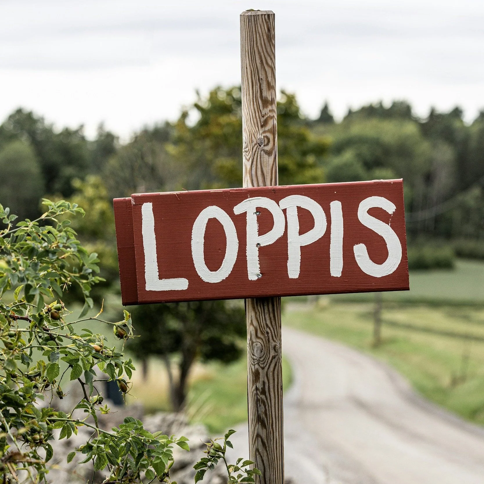 Loppis