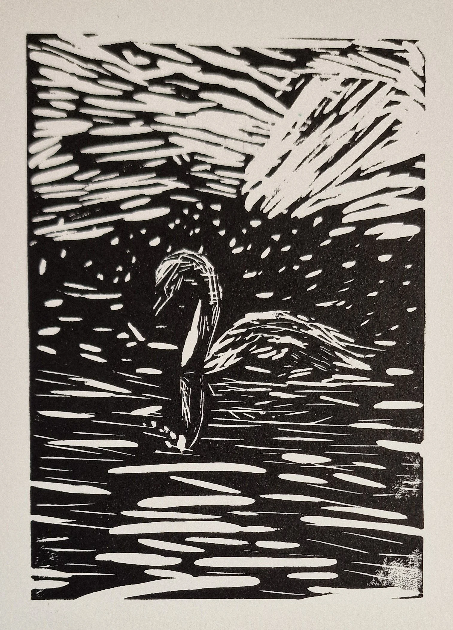 Swan at Night -1.jpg