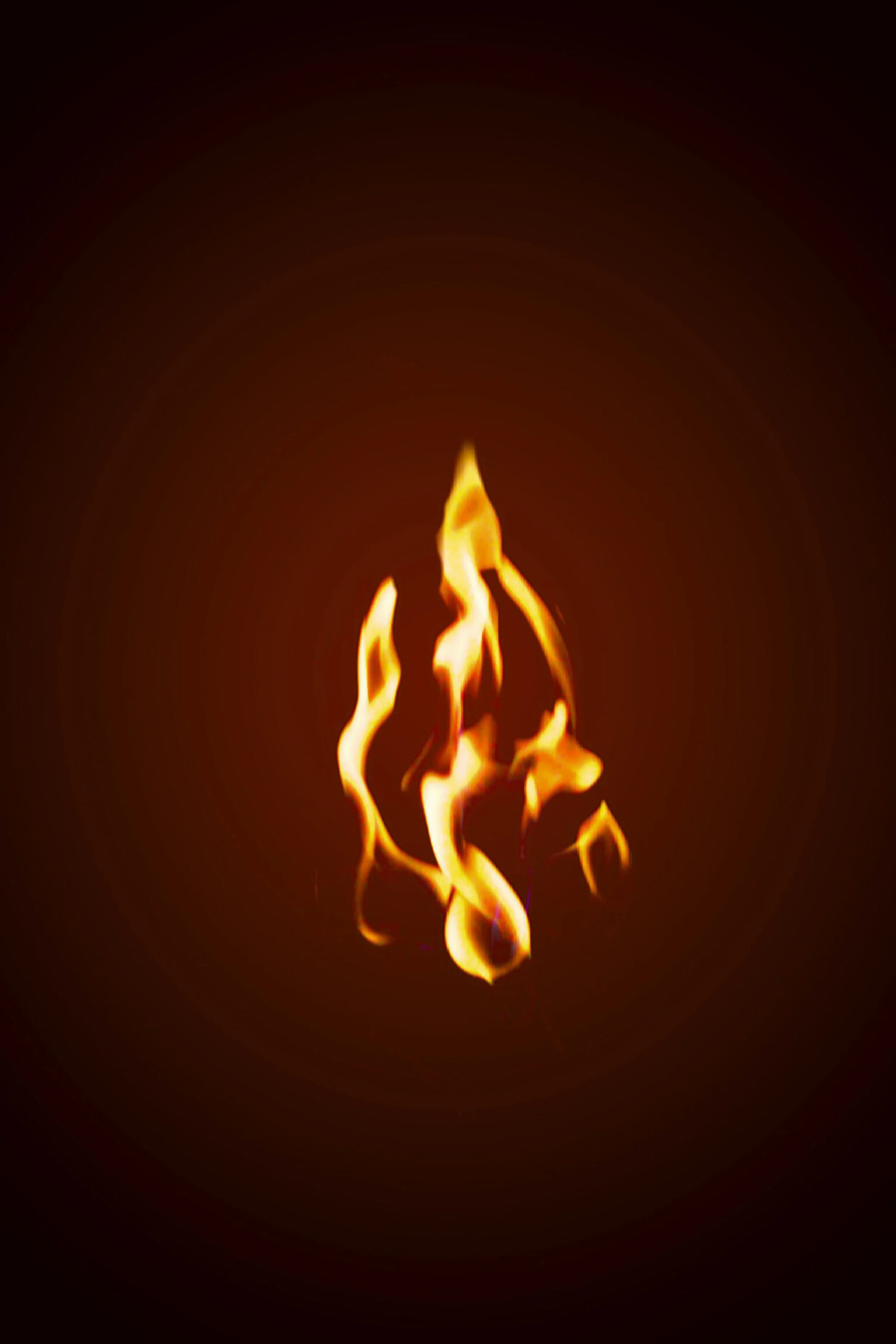 A close-up of a flame burning against a dark background.