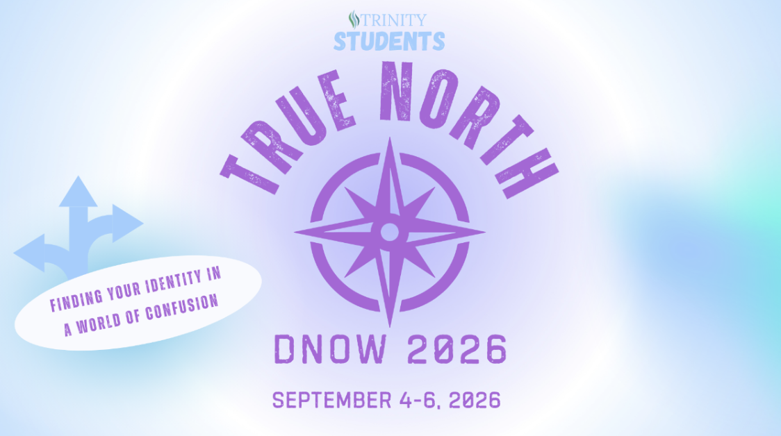DNow 2026